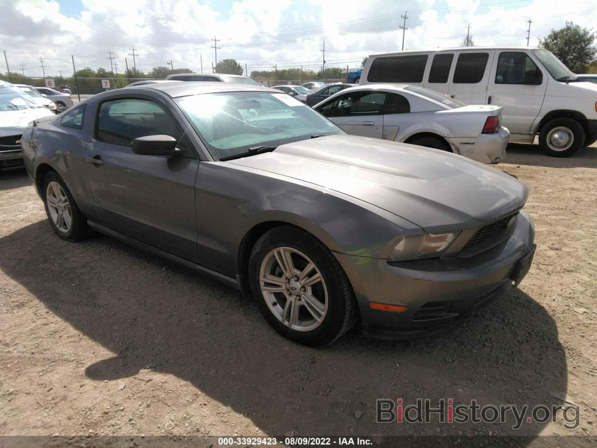 Photo 1ZVBP8AN7A5164327 - FORD MUSTANG 2010