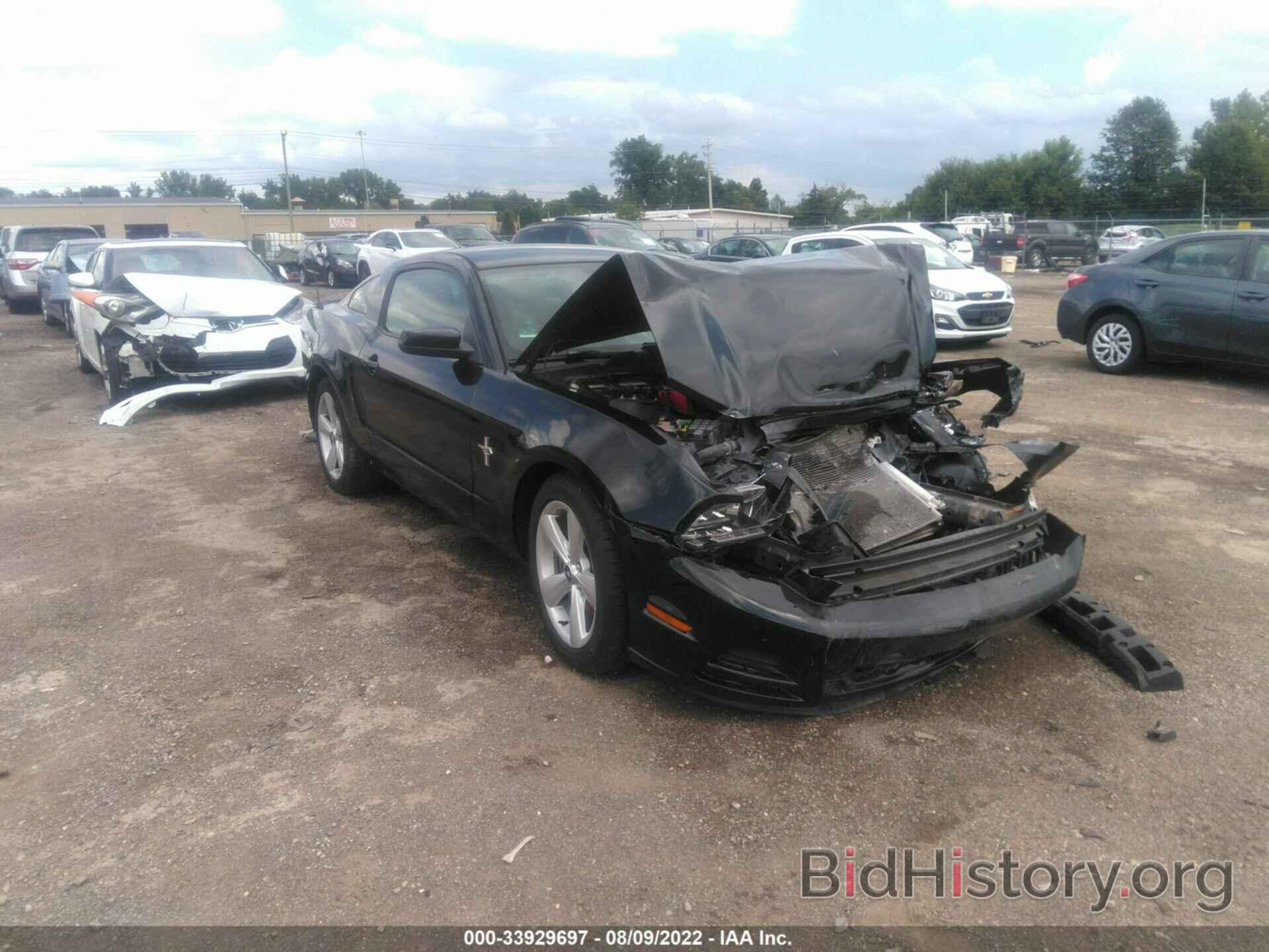 Photo 1ZVBP8AM5D5206179 - FORD MUSTANG 2013