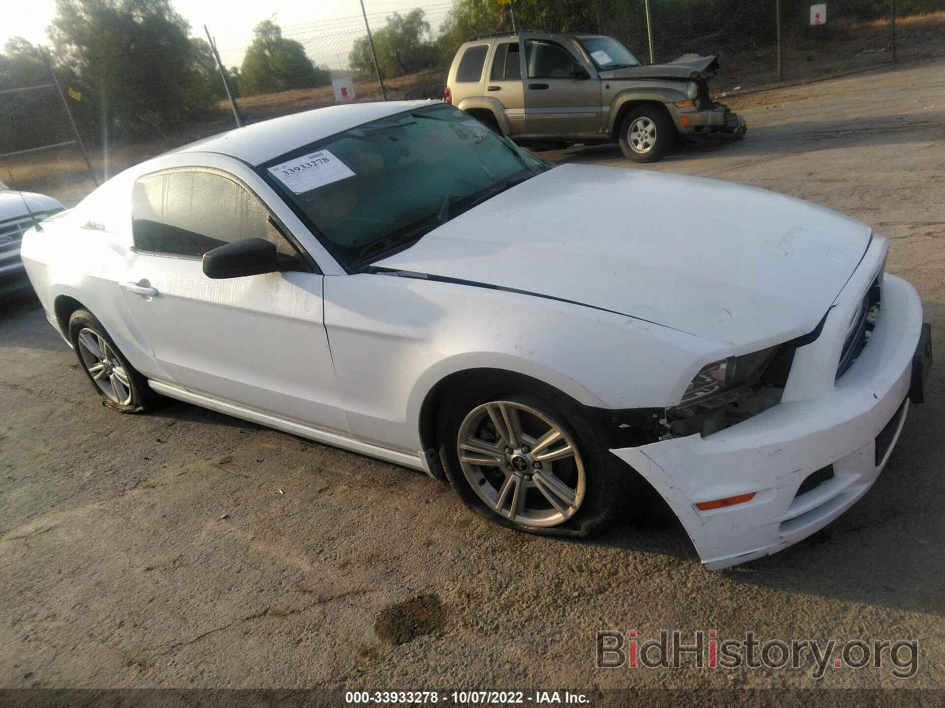 Photo 1ZVBP8AM9E5257346 - FORD MUSTANG 2014