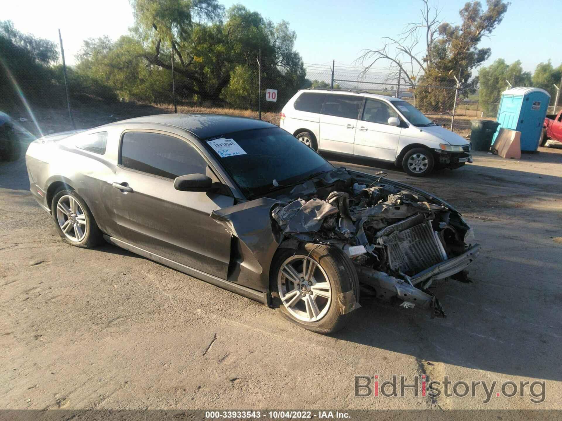 Photo 1ZVBP8AM9E5306755 - FORD MUSTANG 2014