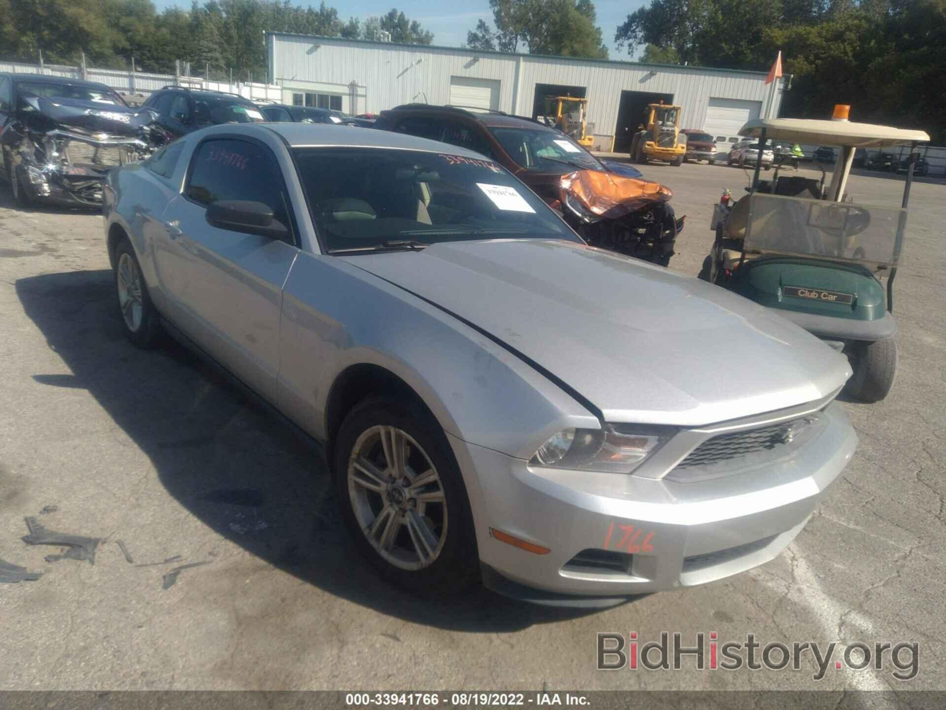 Photo 1ZVBP8AN0A5148907 - FORD MUSTANG 2010