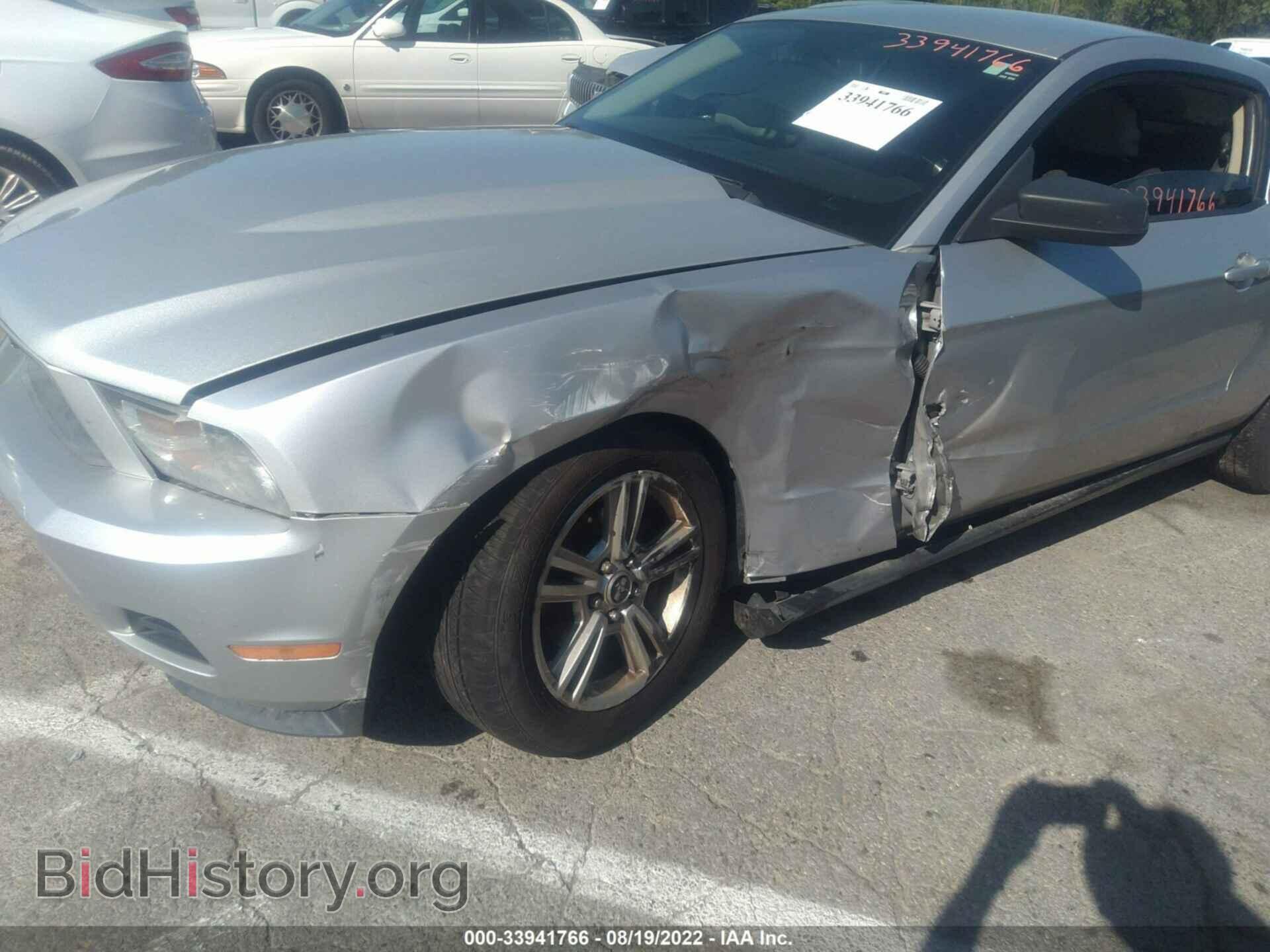 2010 FORD MUSTANG - VIN: 1ZVBP8AN0A5148907 - Фото 6