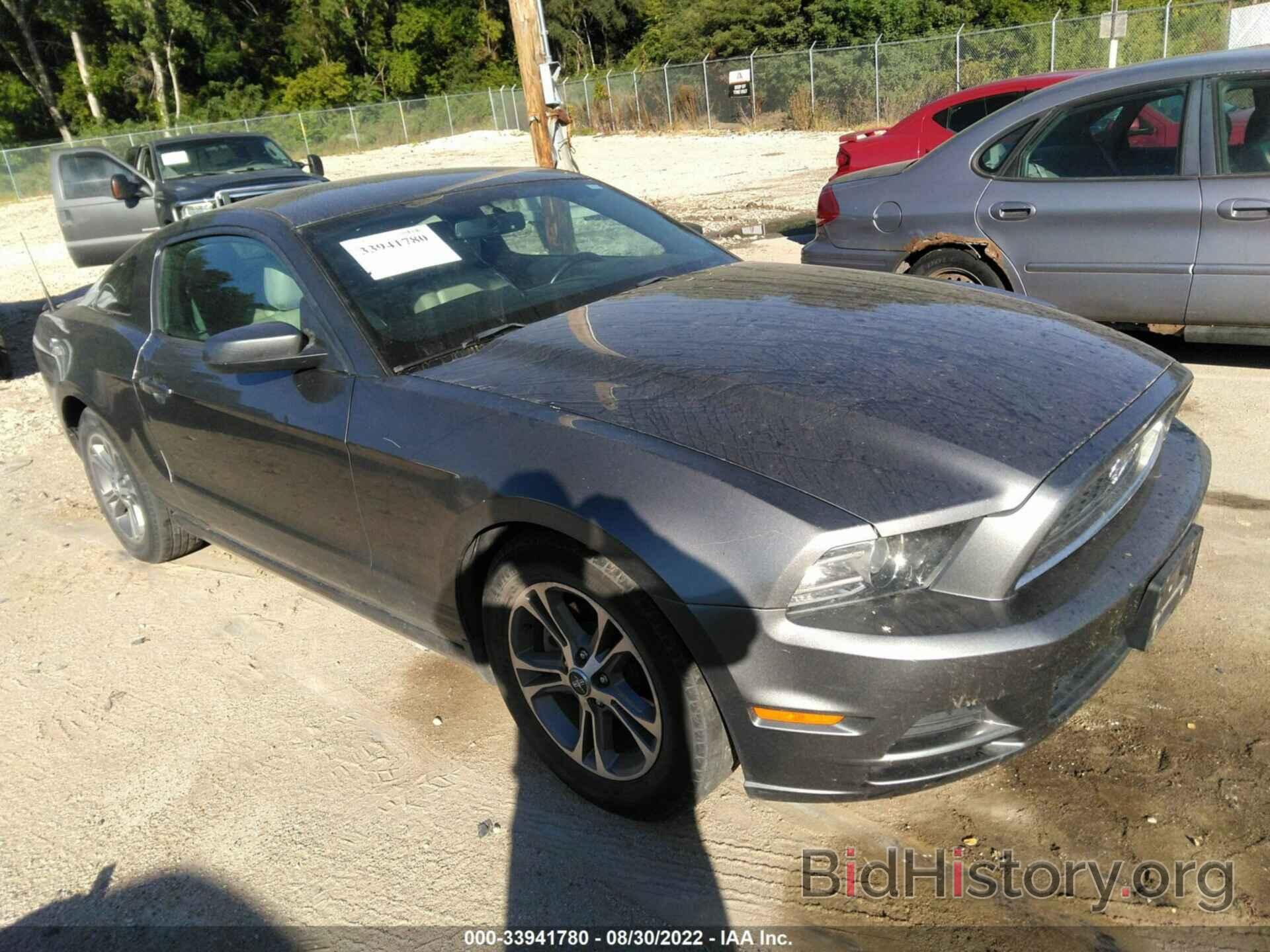 Photo 1ZVBP8AM8E5222300 - FORD MUSTANG 2014
