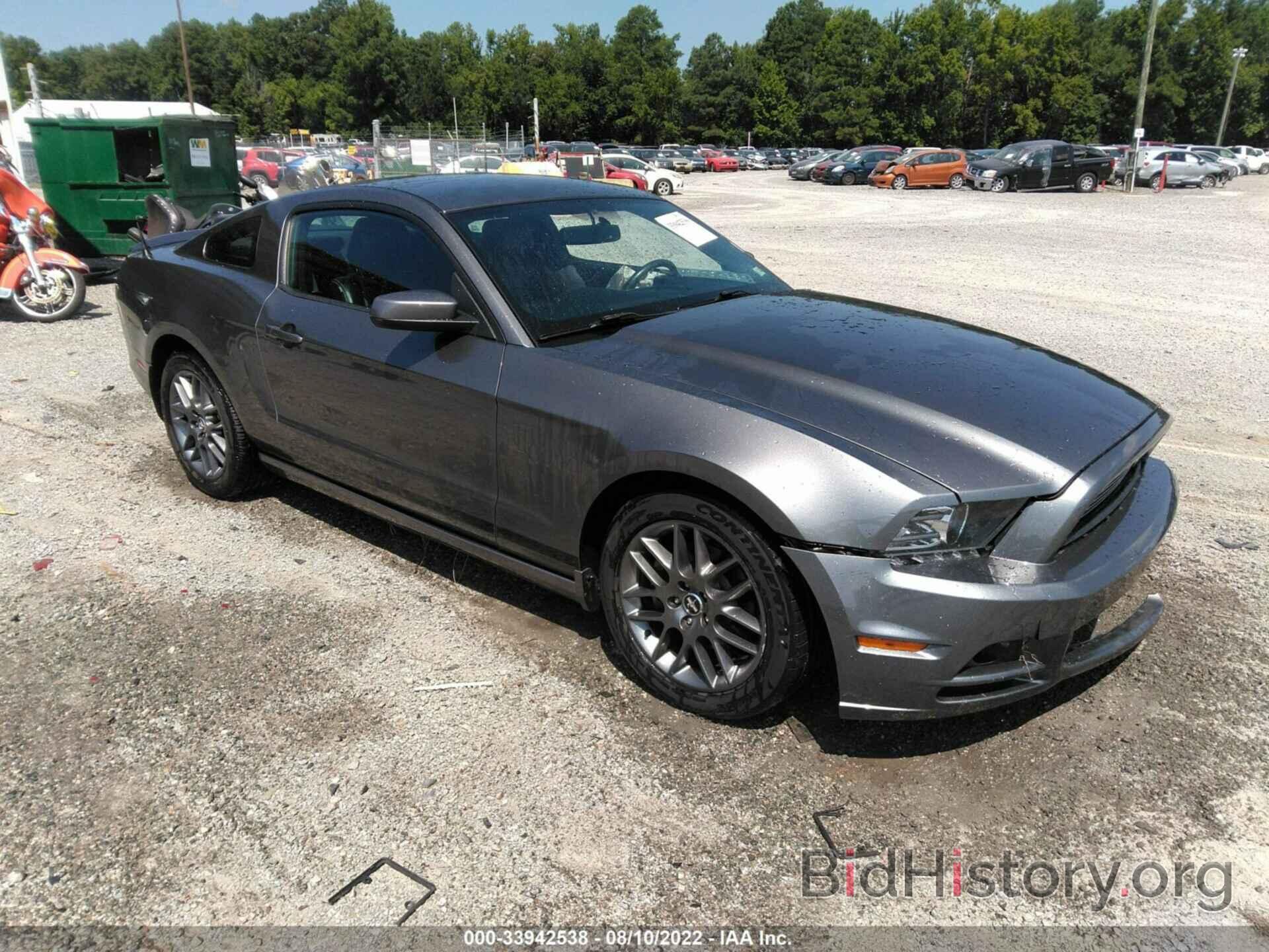 Photo 1ZVBP8AM9E5221267 - FORD MUSTANG 2014