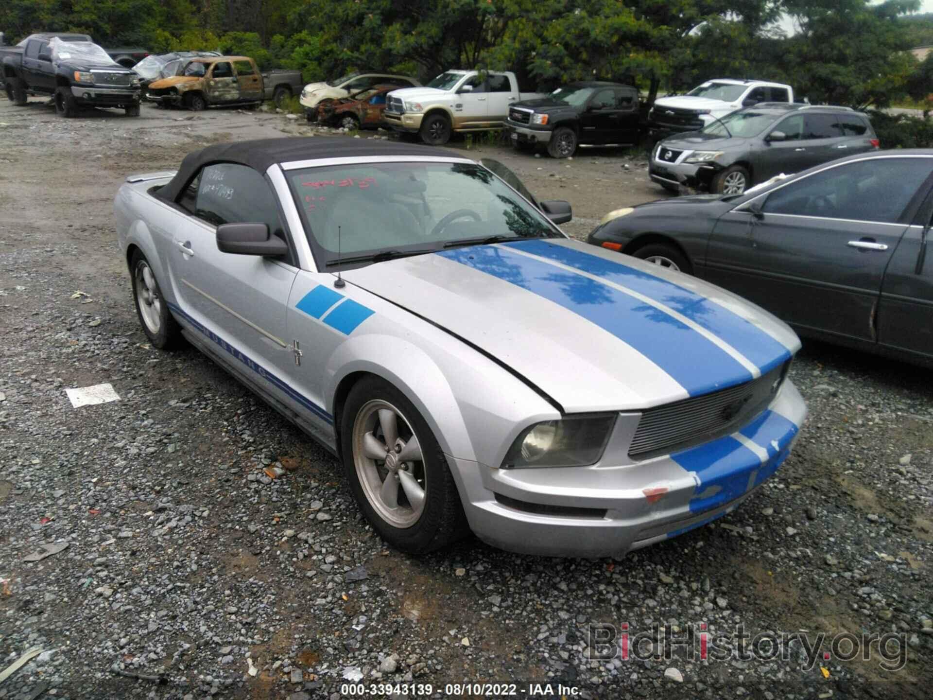 Photo 1ZVHT84NX85136081 - FORD MUSTANG 2008