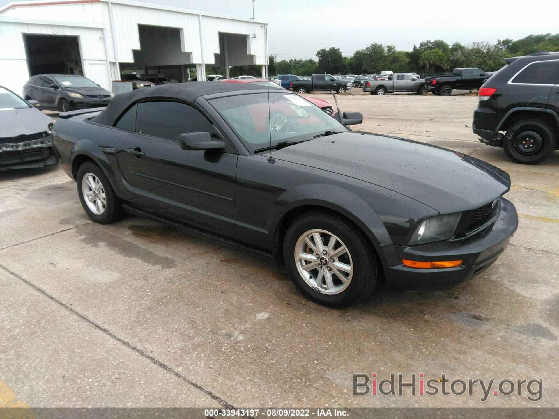 Photo 1ZVHT84N585134738 - FORD MUSTANG 2008