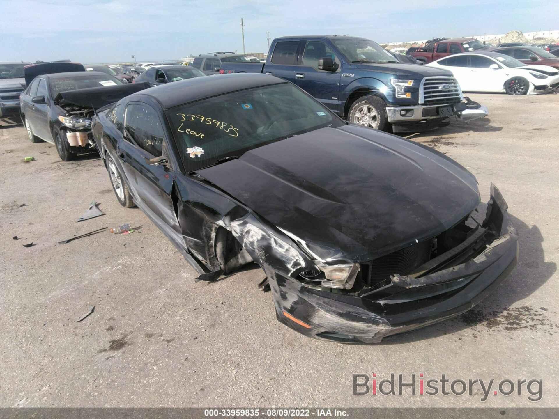 Photo 1ZVBP8AN8A5145575 - FORD MUSTANG 2010