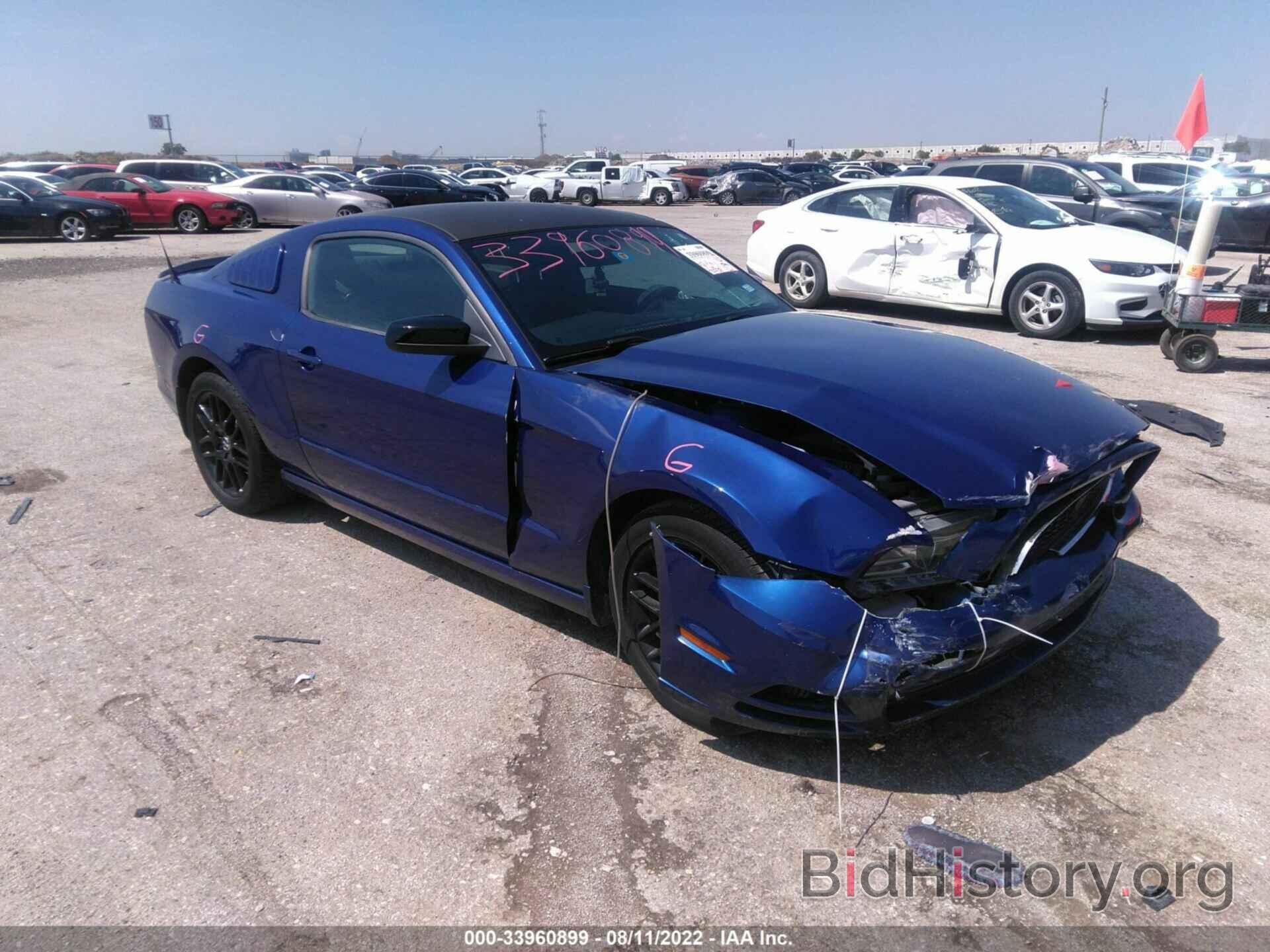 Photo 1ZVBP8AM2E5331982 - FORD MUSTANG 2014