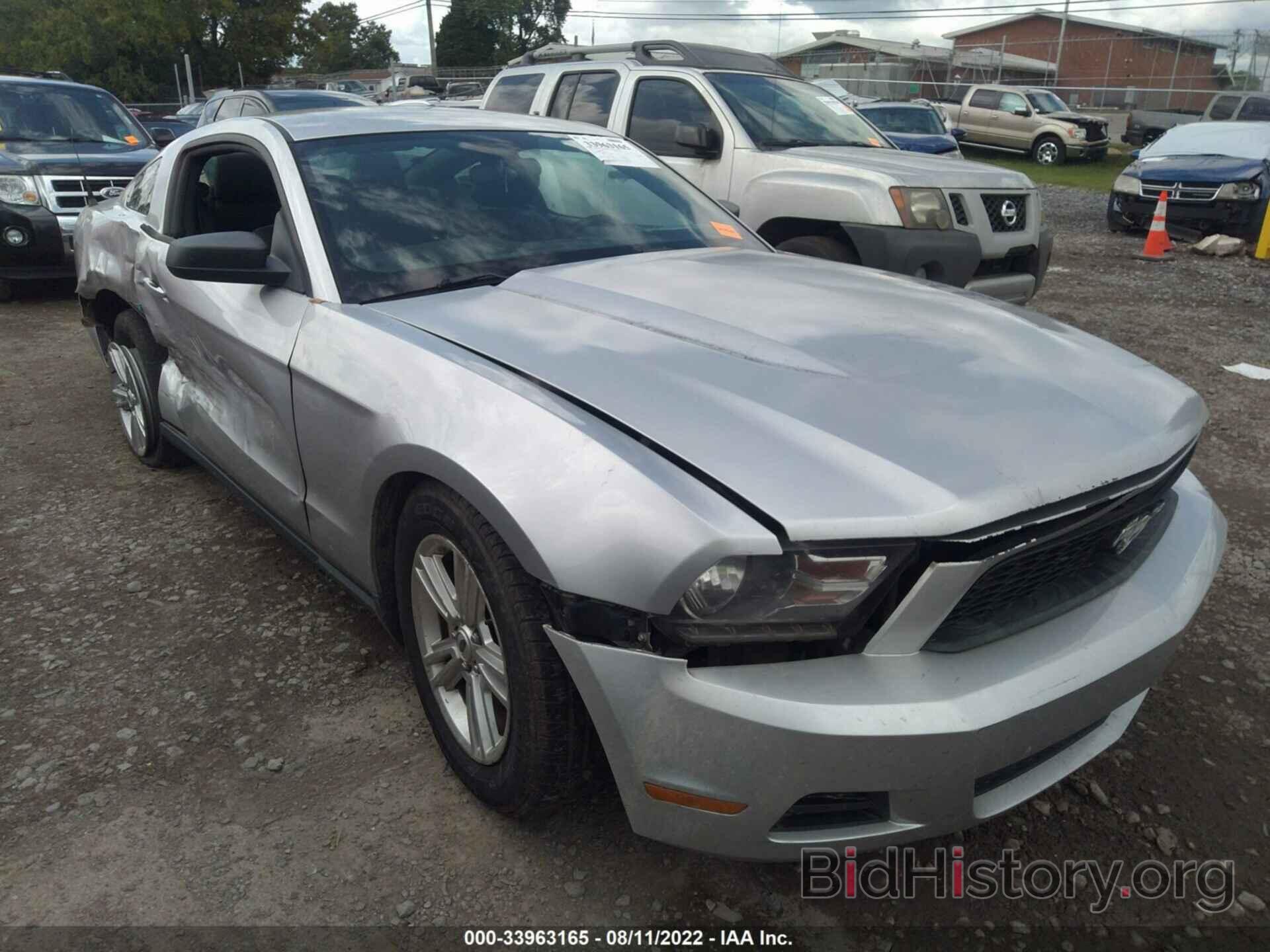 Photo 1ZVBP8AMXC5218391 - FORD MUSTANG 2012