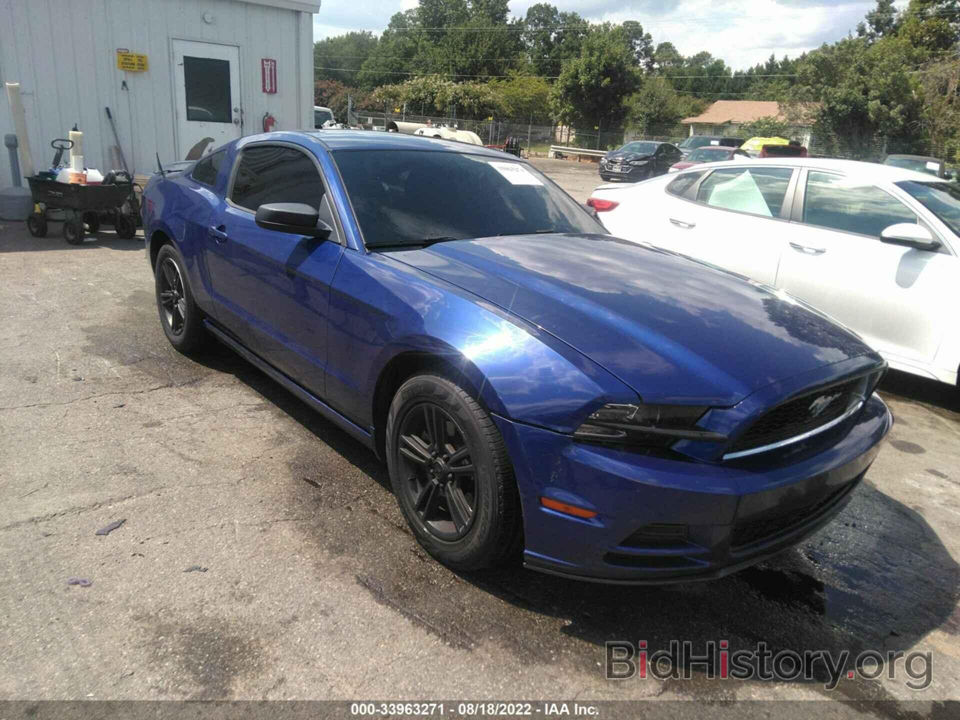 Photo 1ZVBP8AM0D5268363 - FORD MUSTANG 2013