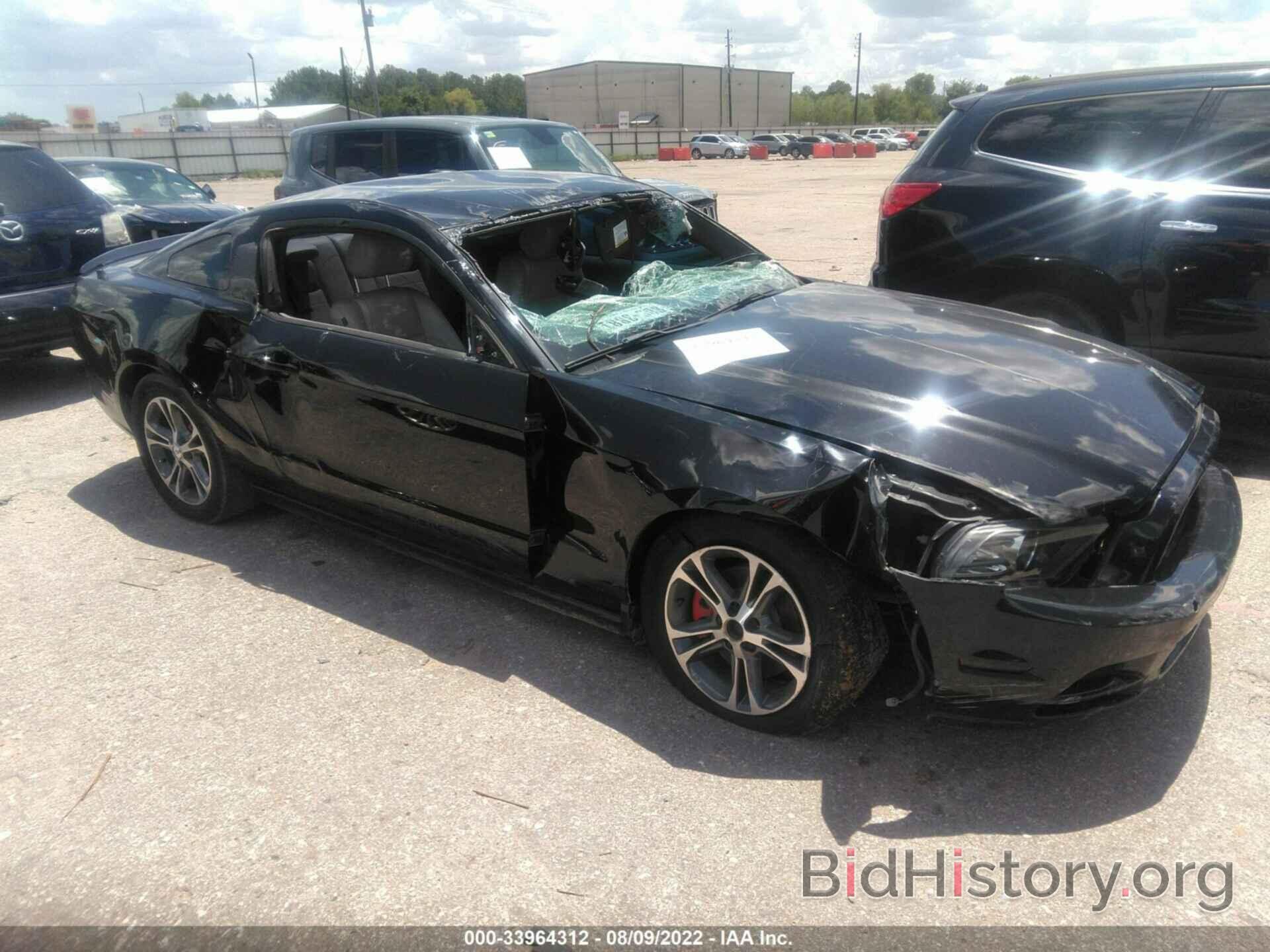 Photo 1ZVBP8AM9E5217817 - FORD MUSTANG 2014