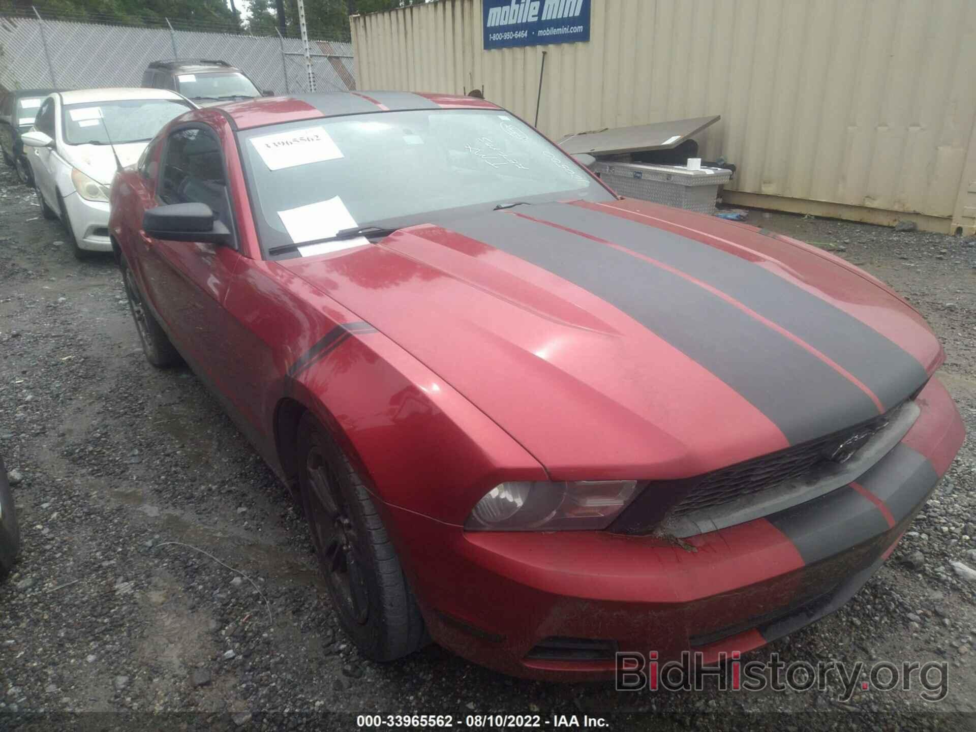 Photo 1ZVBP8AN5A5100500 - FORD MUSTANG 2010