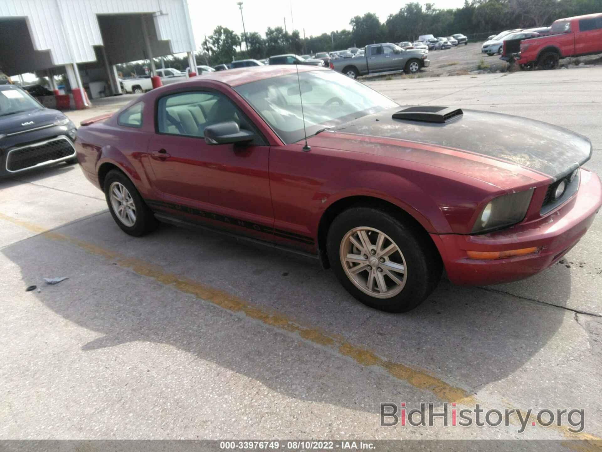 Photo 1ZVHT80N785124024 - FORD MUSTANG 2008