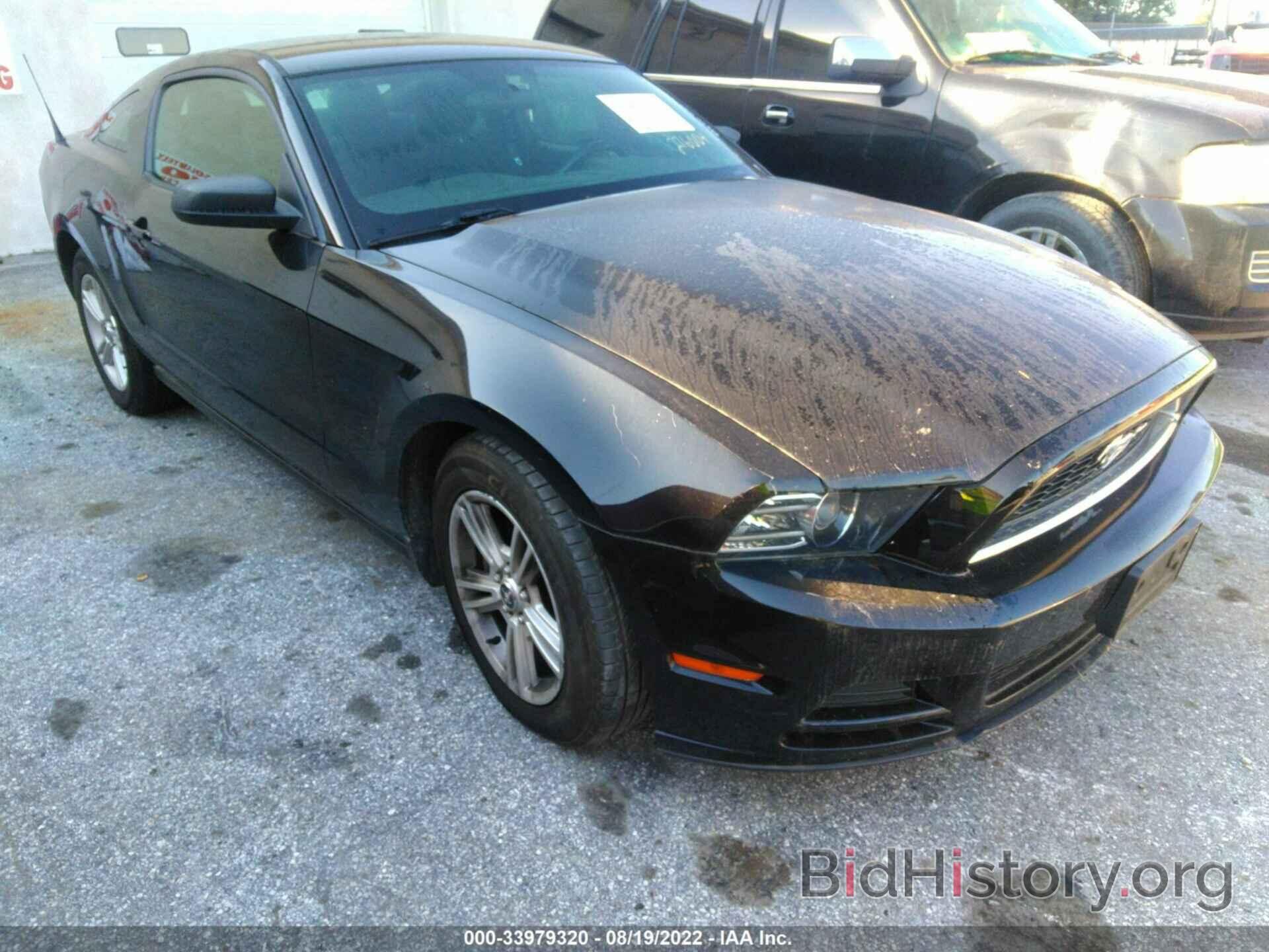 Photo 1ZVBP8AM1D5276004 - FORD MUSTANG 2013