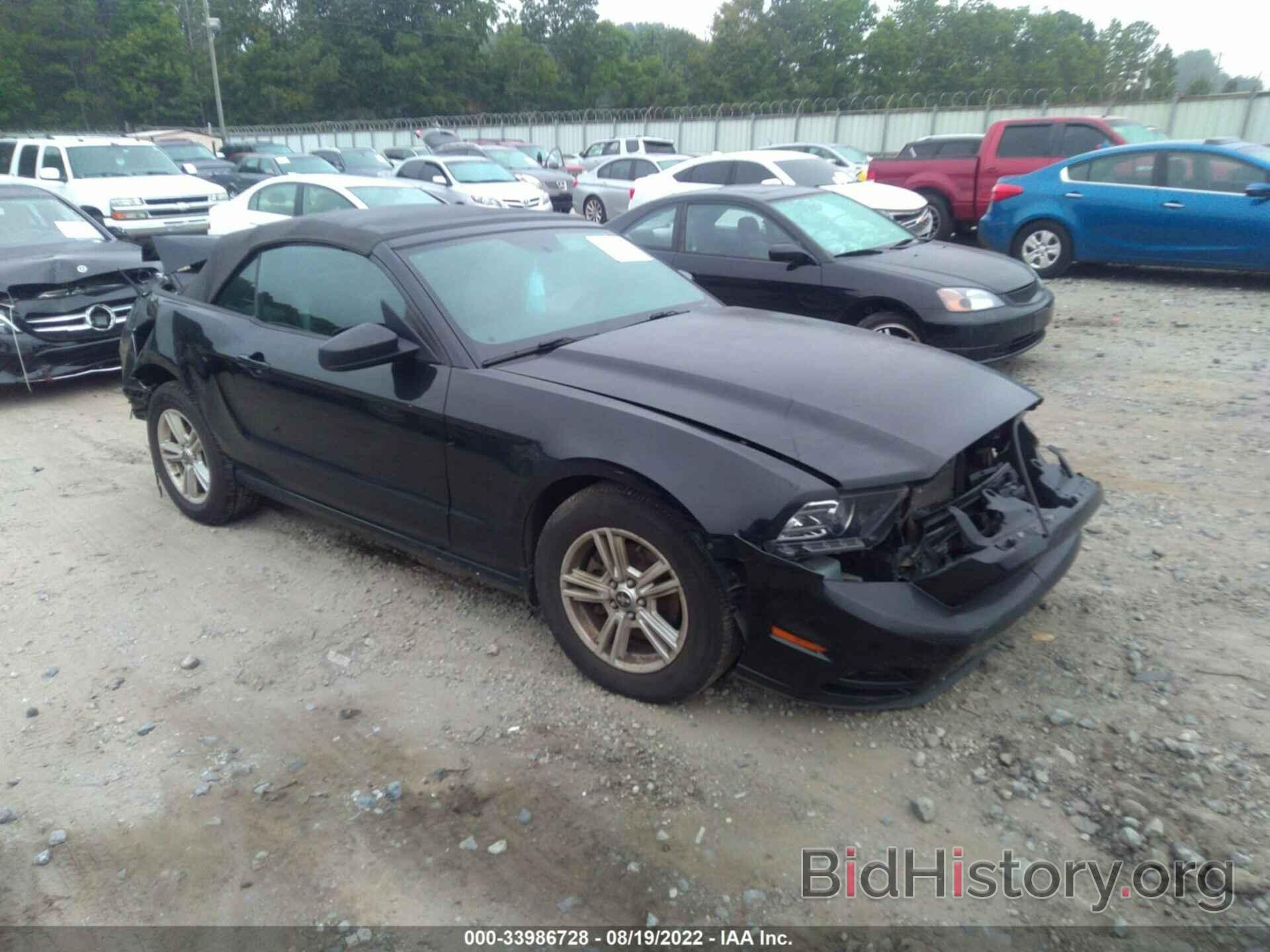 Photo 1ZVBP8EM1D5280256 - FORD MUSTANG 2013