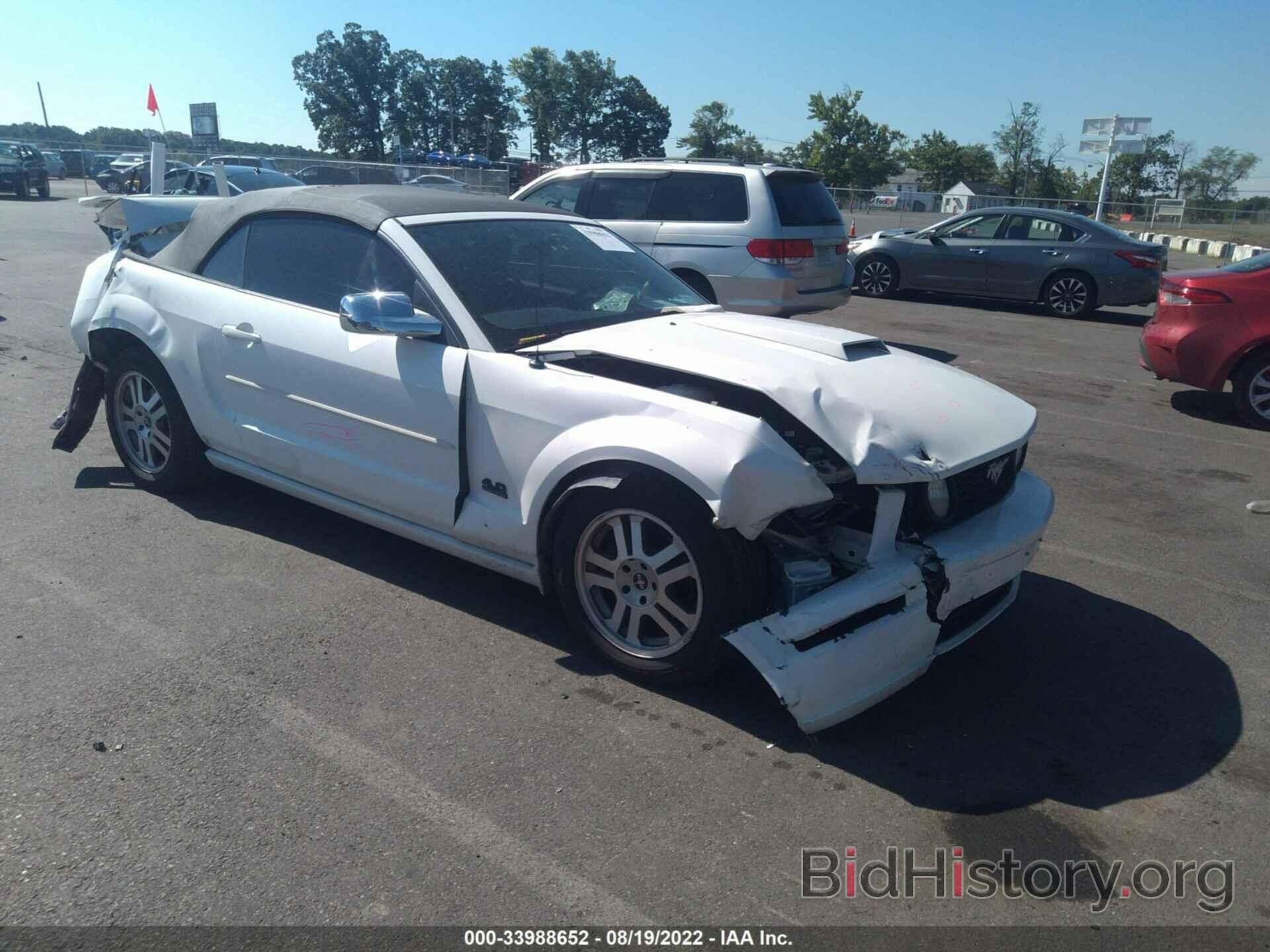 Photo 1ZVFT84N875353408 - FORD MUSTANG 2007