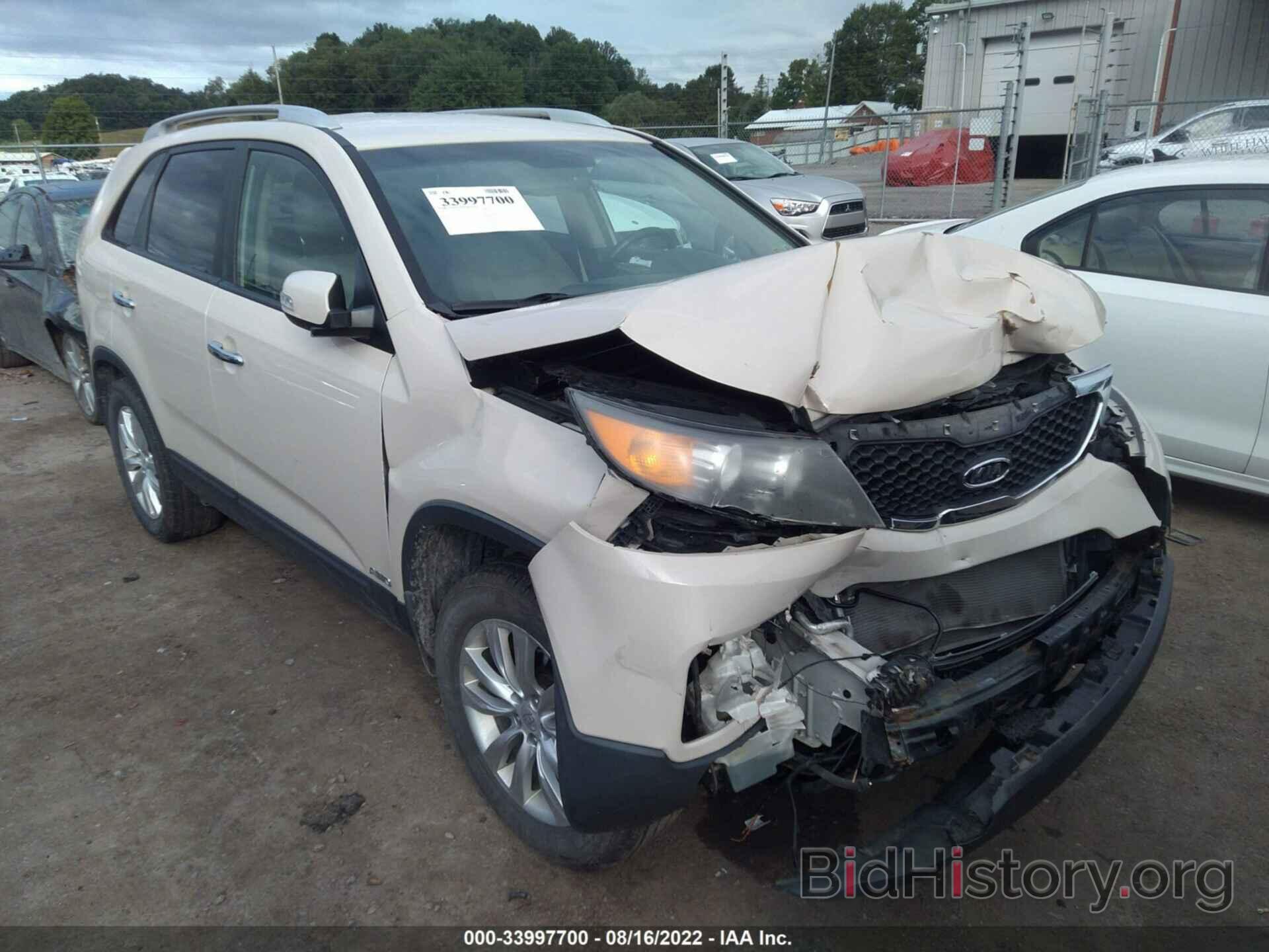 Photo 5XYKUCA13BG073334 - KIA SORENTO 2011