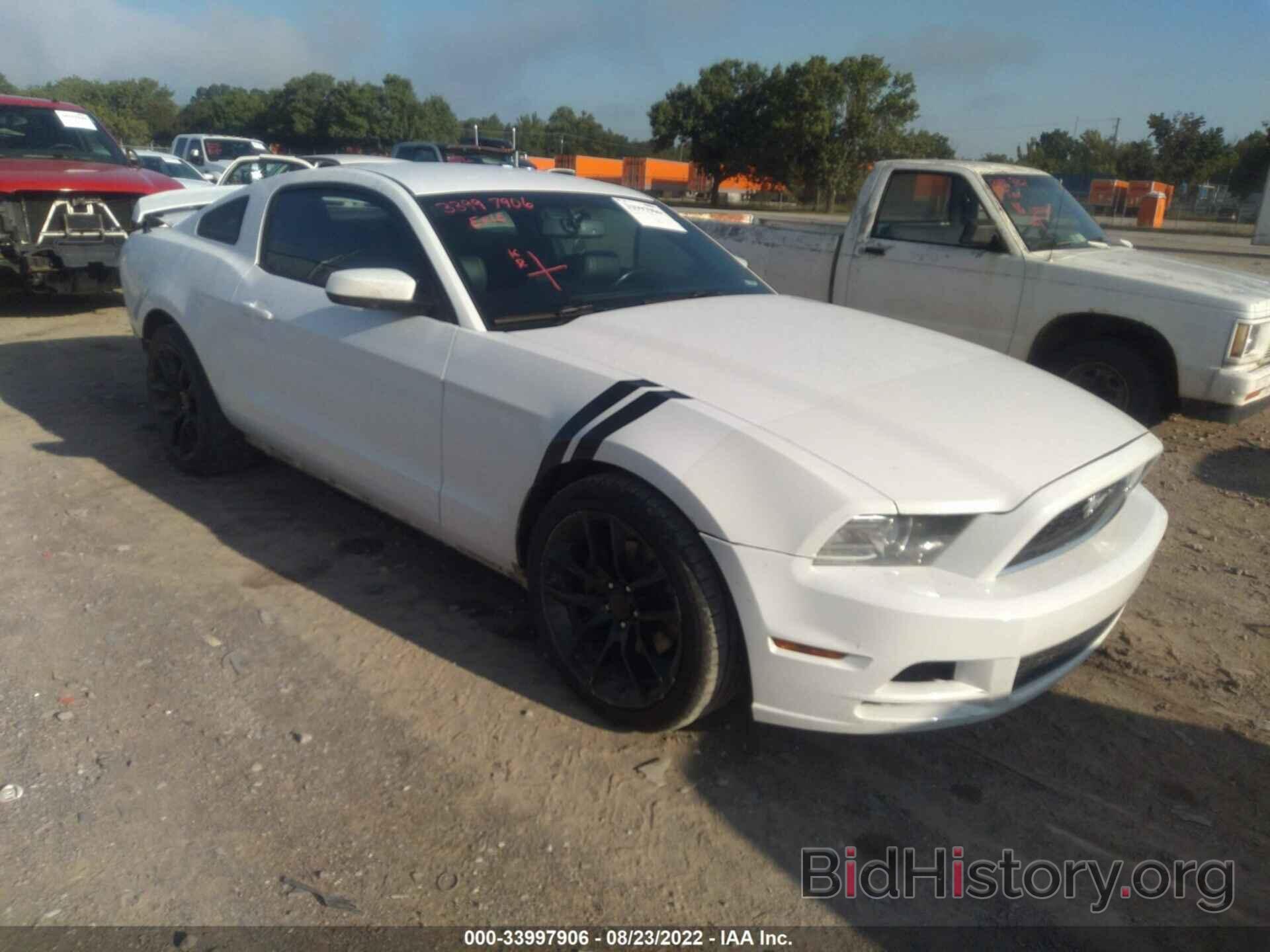 Photo 1ZVBP8AM6E5303215 - FORD MUSTANG 2014