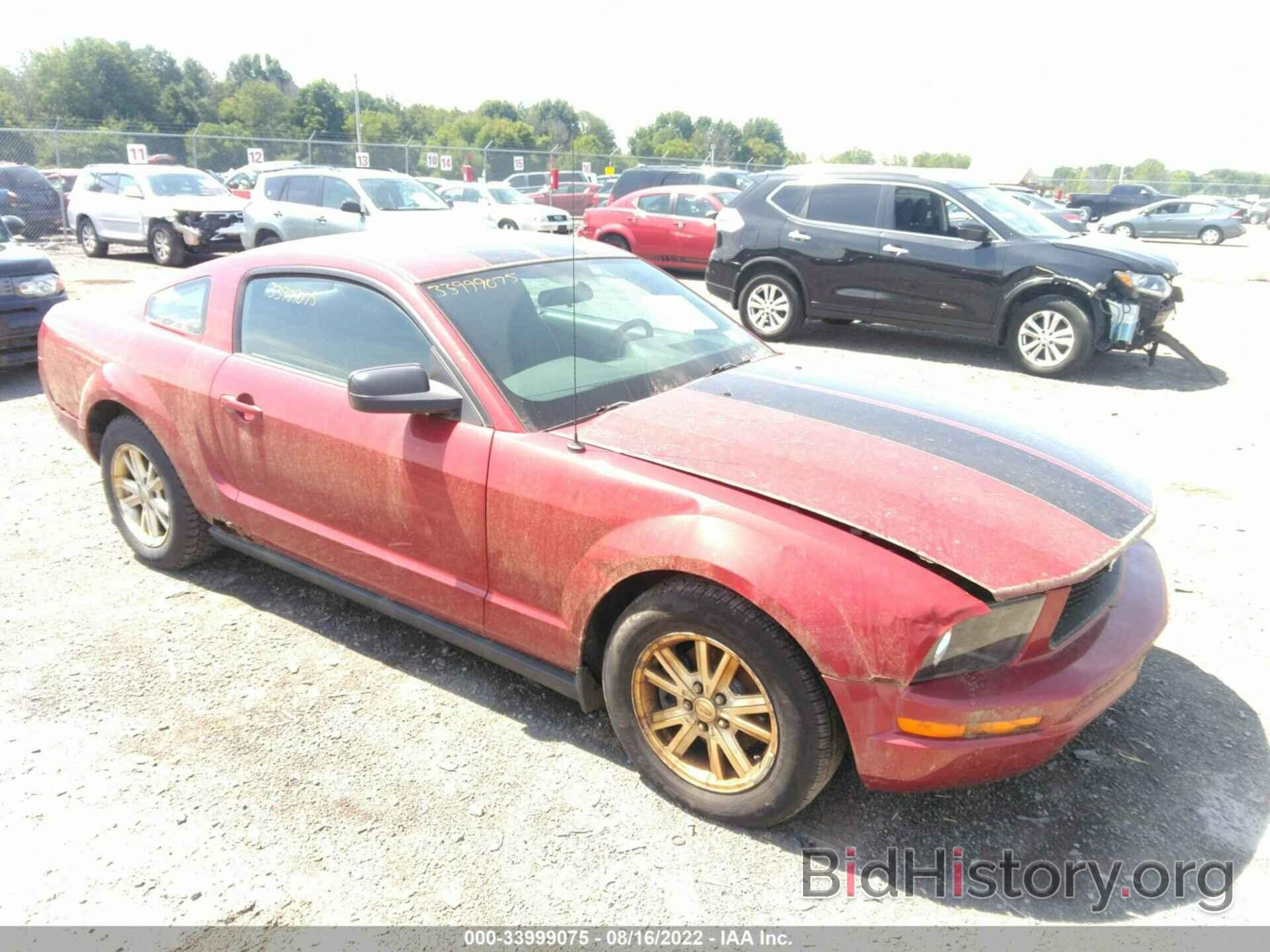 Photo 1ZVHT80N685122801 - FORD MUSTANG 2008