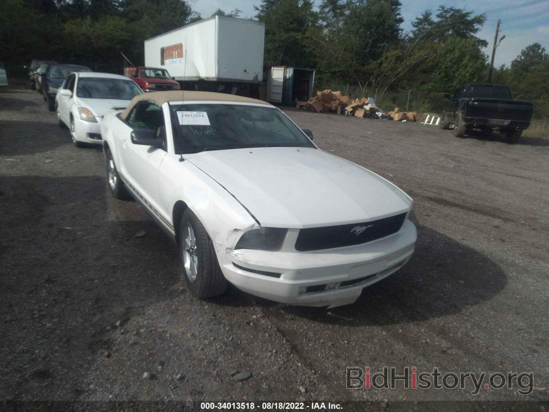 Photo 1ZVFT84N075355637 - FORD MUSTANG 2007