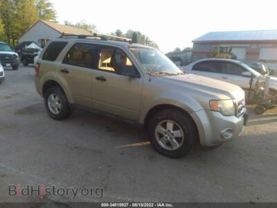 2010 Ford ESCAPE XLT, золотистый — VIN 1FMCU9D79AKB61901, IAAI