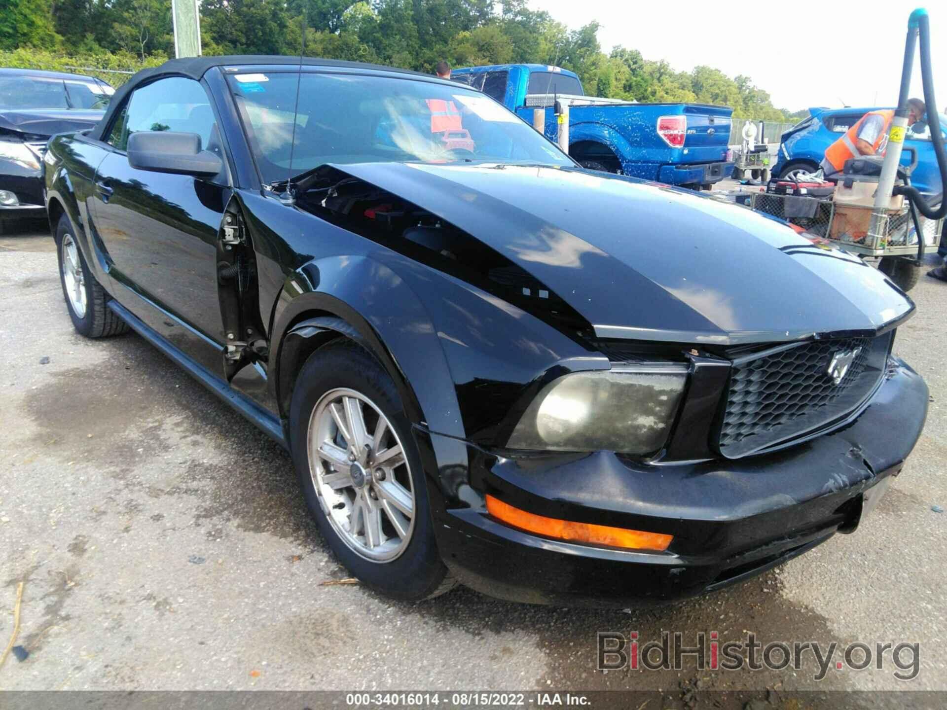 Photo 1ZVHT84N275237534 - FORD MUSTANG 2007