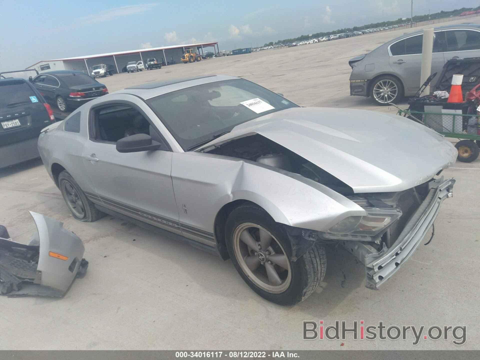 Photo 1ZVBP8AN9A5152860 - FORD MUSTANG 2010