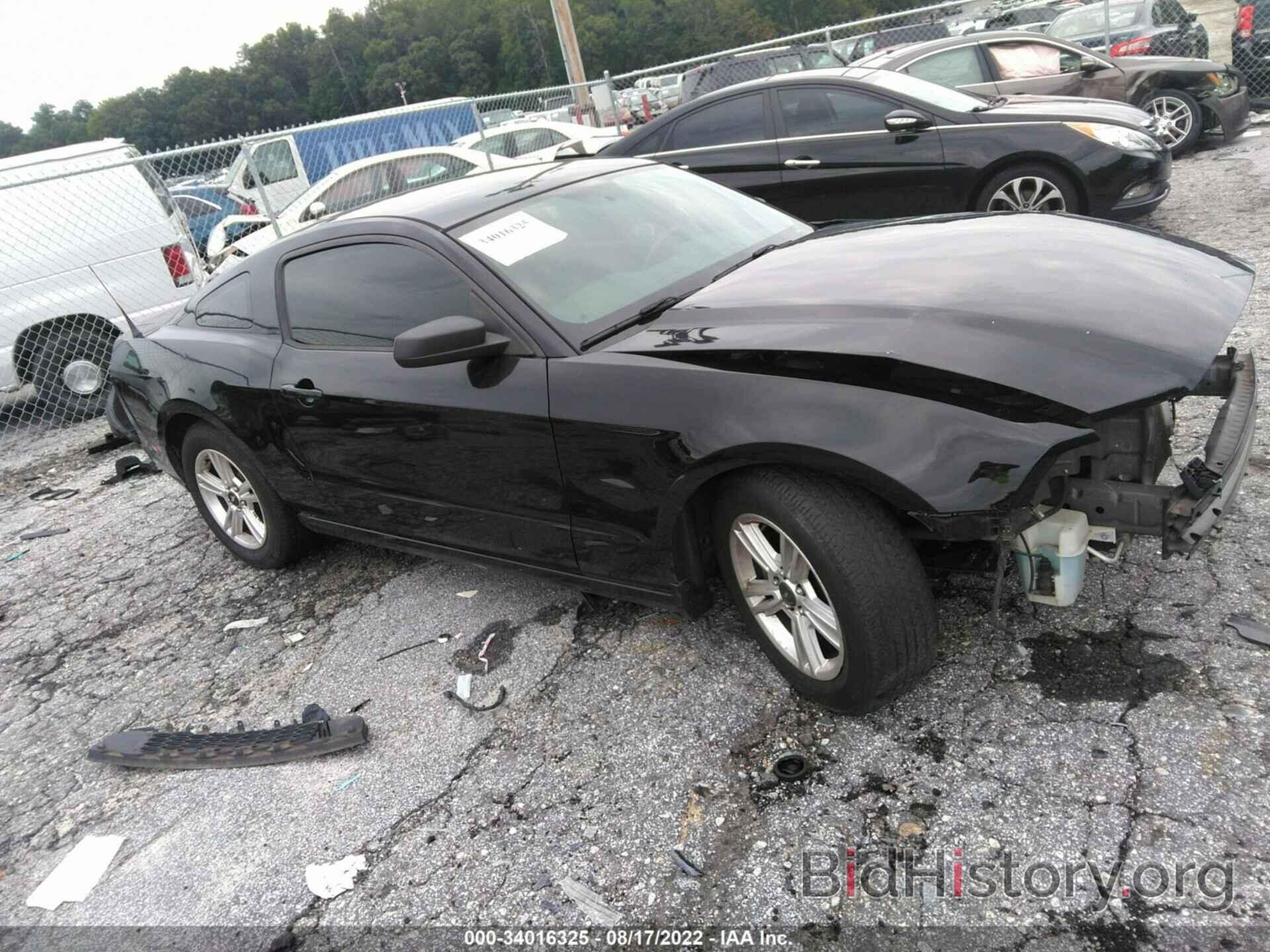 Photo 1ZVBP8AM0E5275895 - FORD MUSTANG 2014