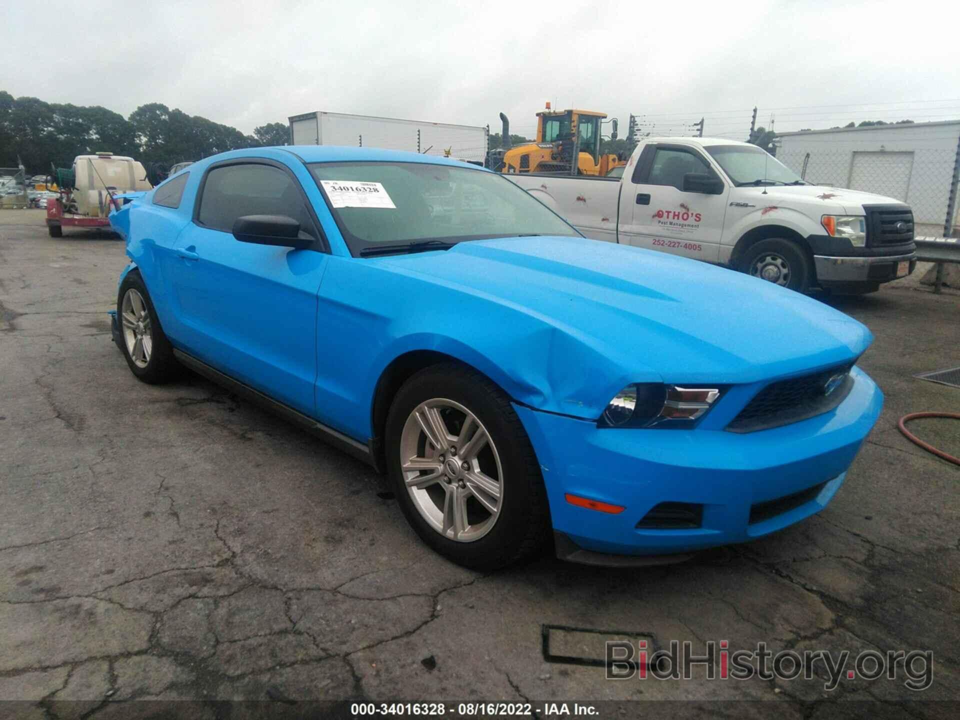 Photo 1ZVBP8AN9A5129451 - FORD MUSTANG 2010