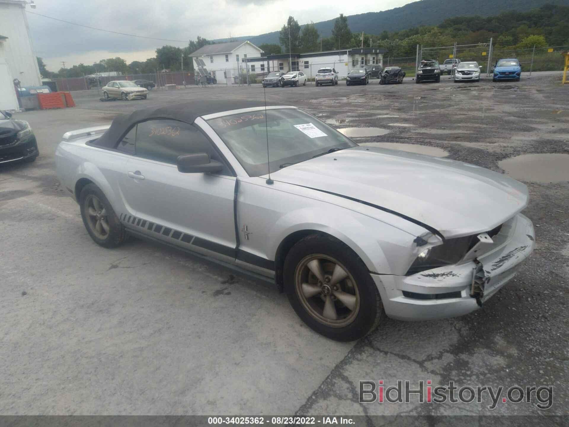 Photo 1ZVFT84N365153227 - FORD MUSTANG 2006