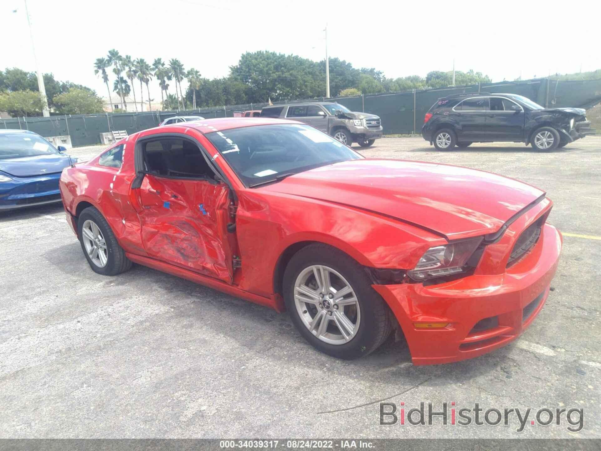 Photo 1ZVBP8AM1E5229119 - FORD MUSTANG 2014