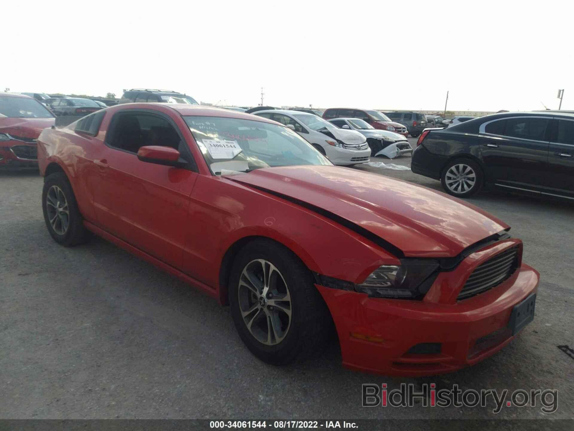 Photo 1ZVBP8AM5E5210086 - FORD MUSTANG 2014