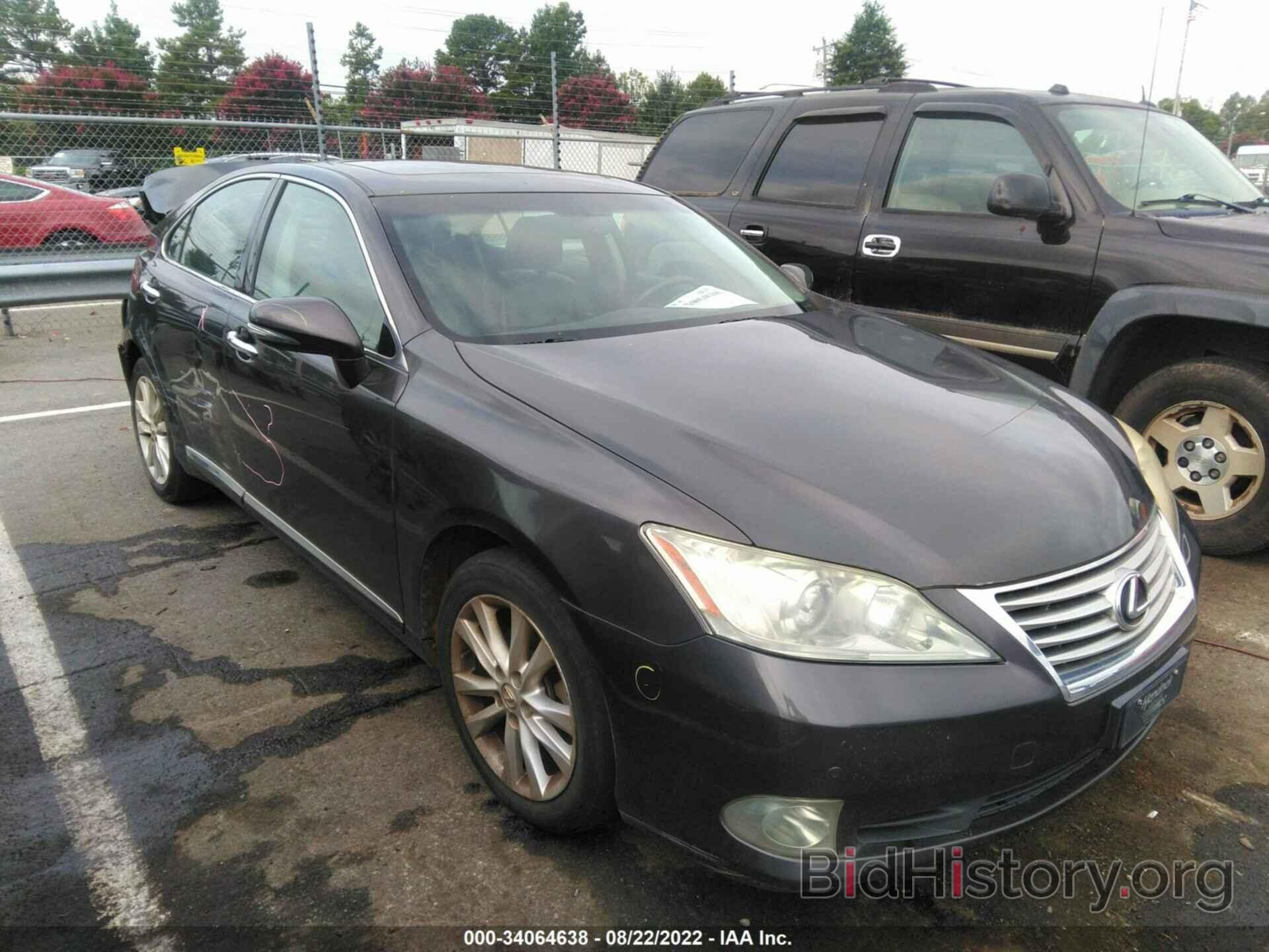 Фотография JTHBK1EG4A2401456 - LEXUS ES 350 2010