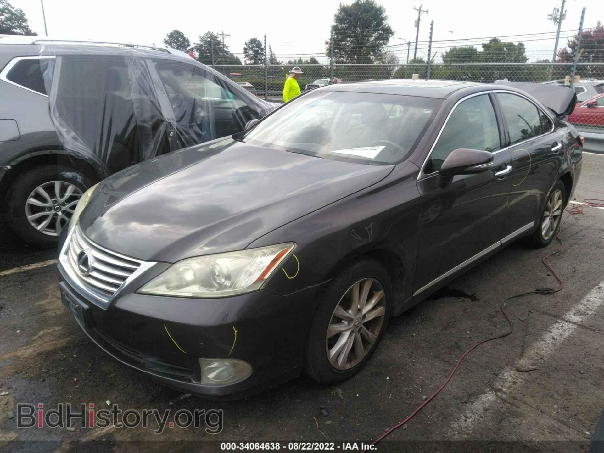 2010 LEXUS ES 350 - VIN: JTHBK1EG4A2401456 - Фото 2