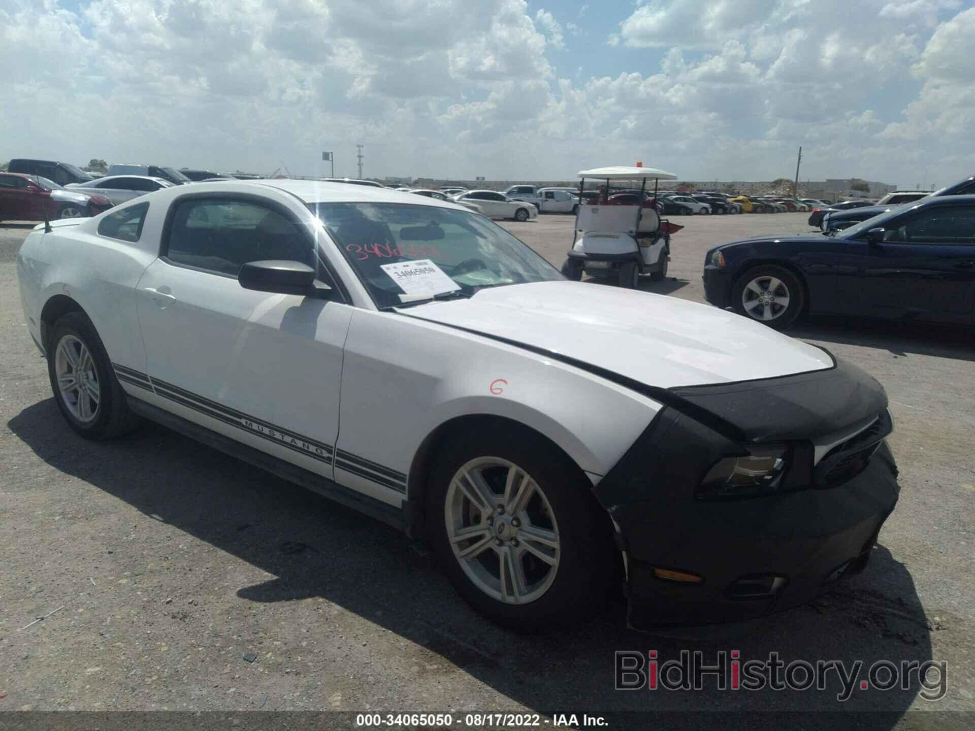 Photo 1ZVBP8AM5C5261830 - FORD MUSTANG 2012