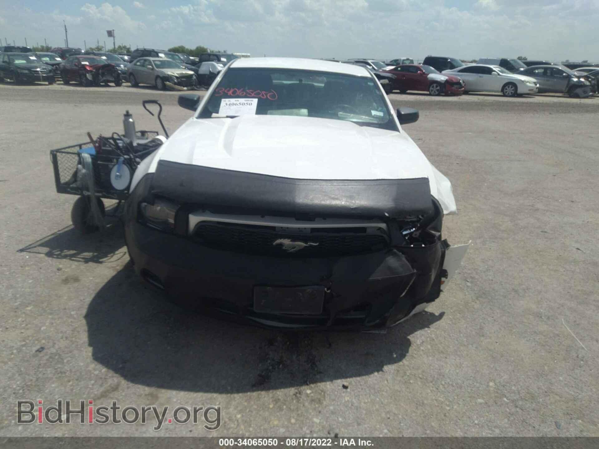 2012 FORD MUSTANG - VIN: 1ZVBP8AM5C5261830 - Фото 6