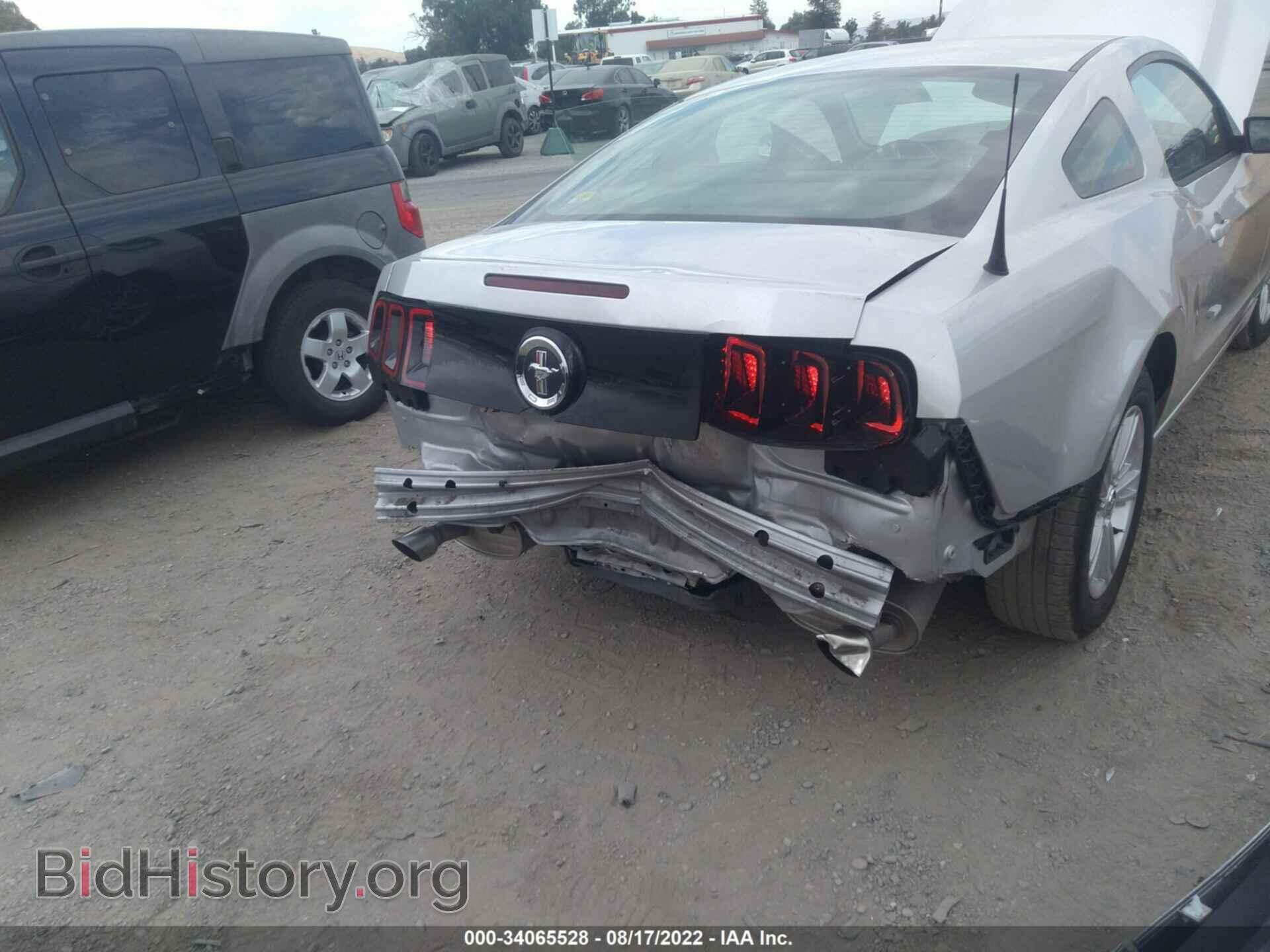 2013 FORD MUSTANG - VIN: 1ZVBP8AM9D5267471 - Фото 6