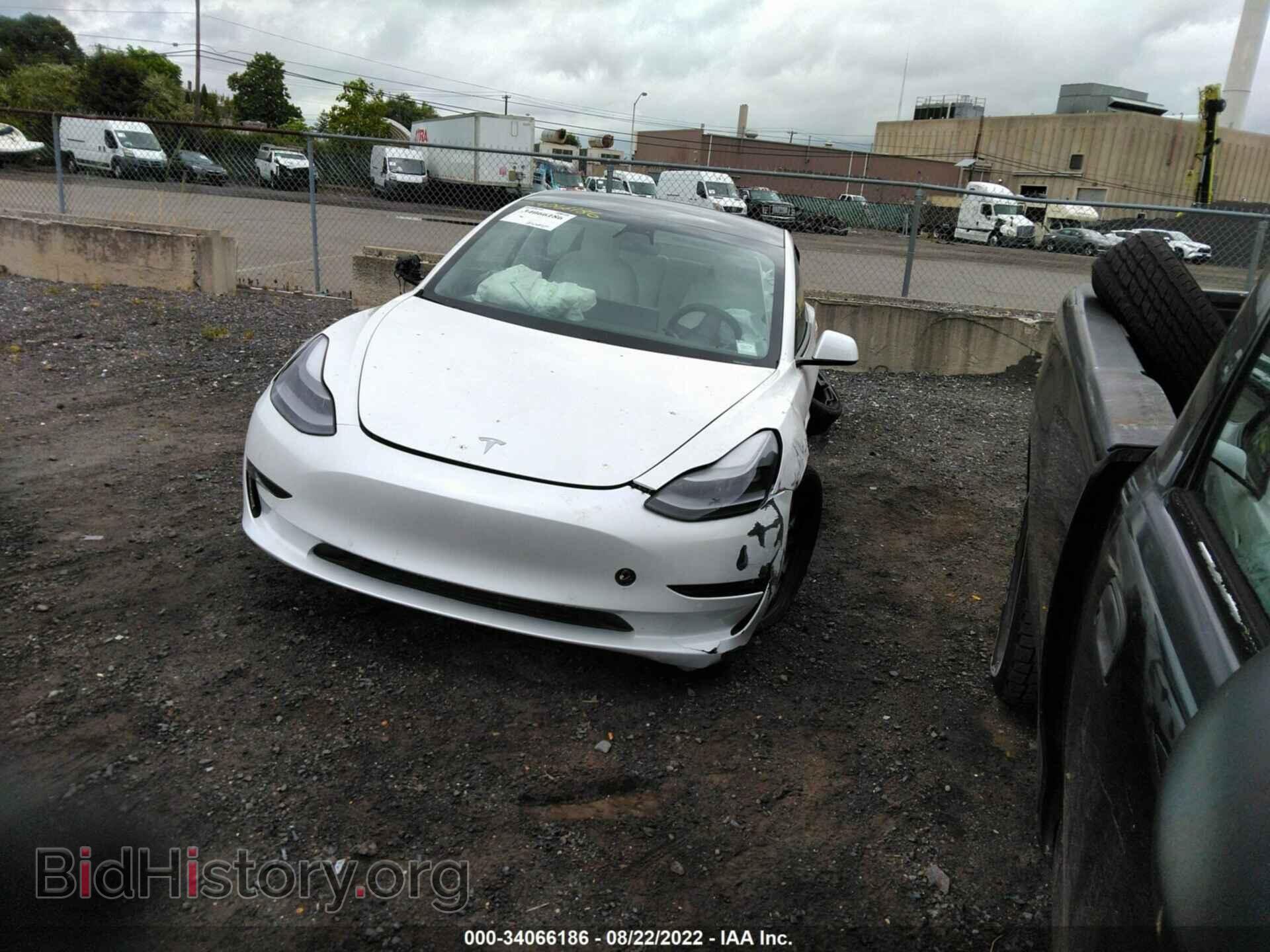 2021 TESLA MODEL 3 - VIN: 5YJ3E1EB6MF032652 - Photo 2