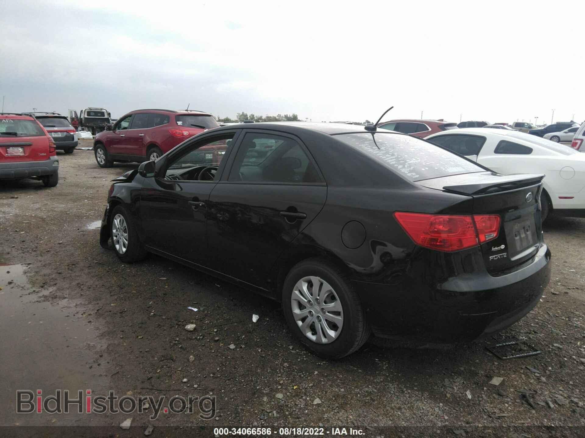 2013 KIA FORTE - VIN: KNAFU4A21D5691549 - Фото 3