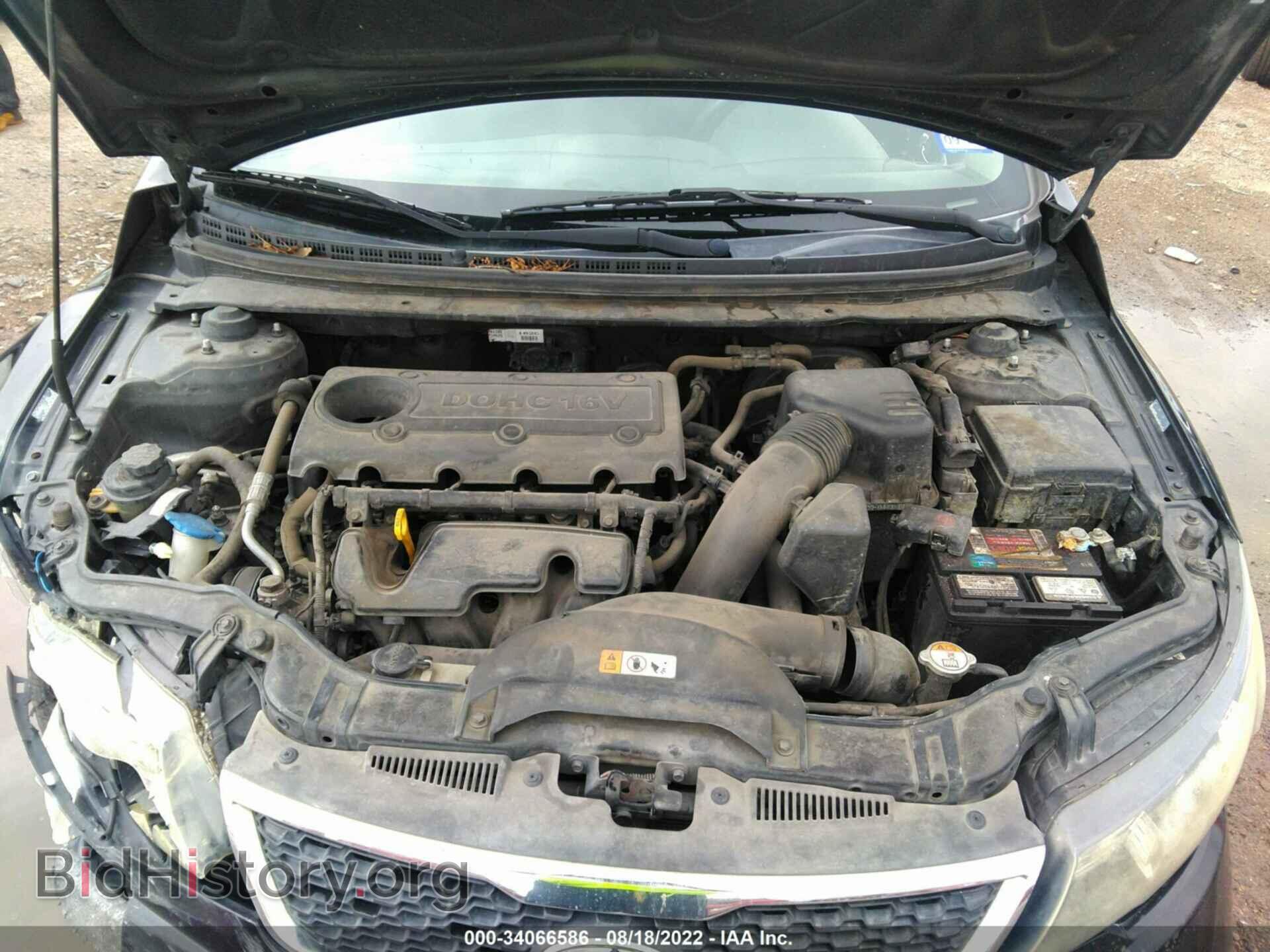 2013 KIA FORTE - VIN: KNAFU4A21D5691549 - Фото 10