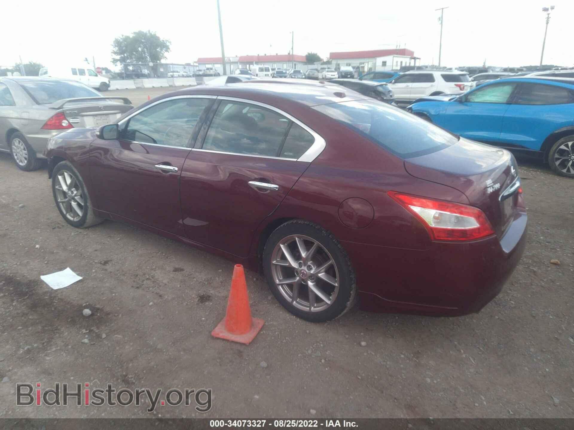 2010 NISSAN MAXIMA - VIN: 1N4AA5AP7AC833553 - Фото 3