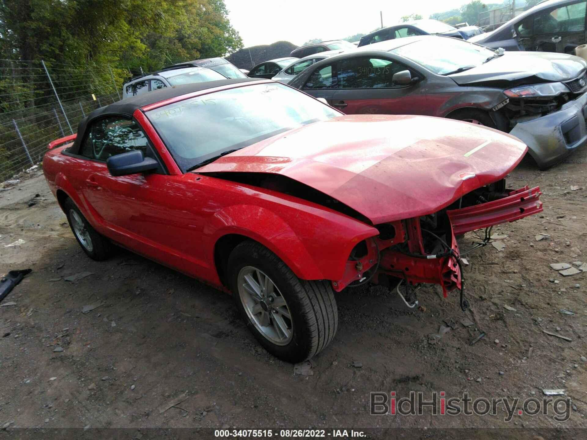 Photo 1ZVHT84N265102570 - FORD MUSTANG 2006