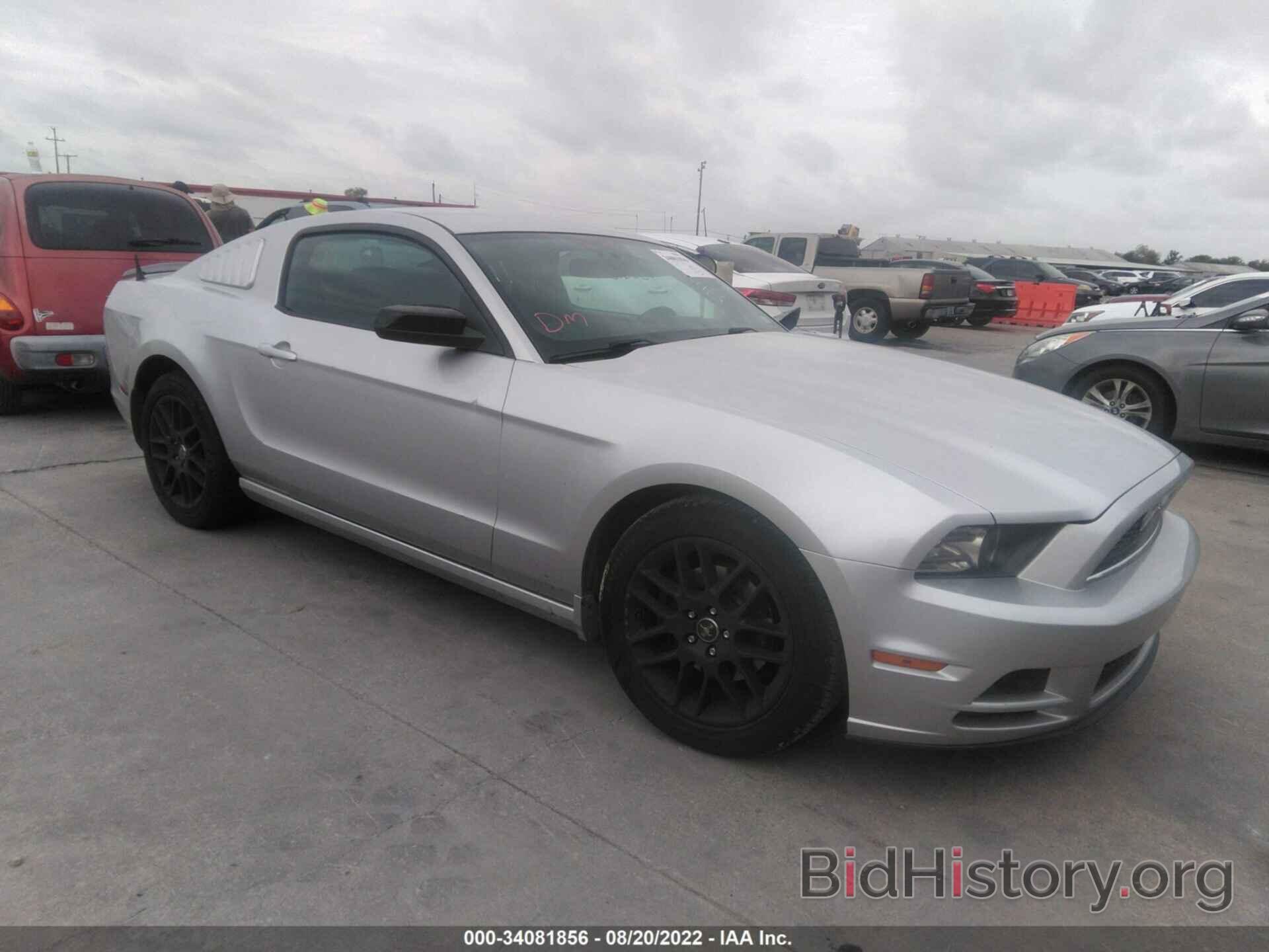 Photo 1ZVBP8AM6E5237474 - FORD MUSTANG 2014