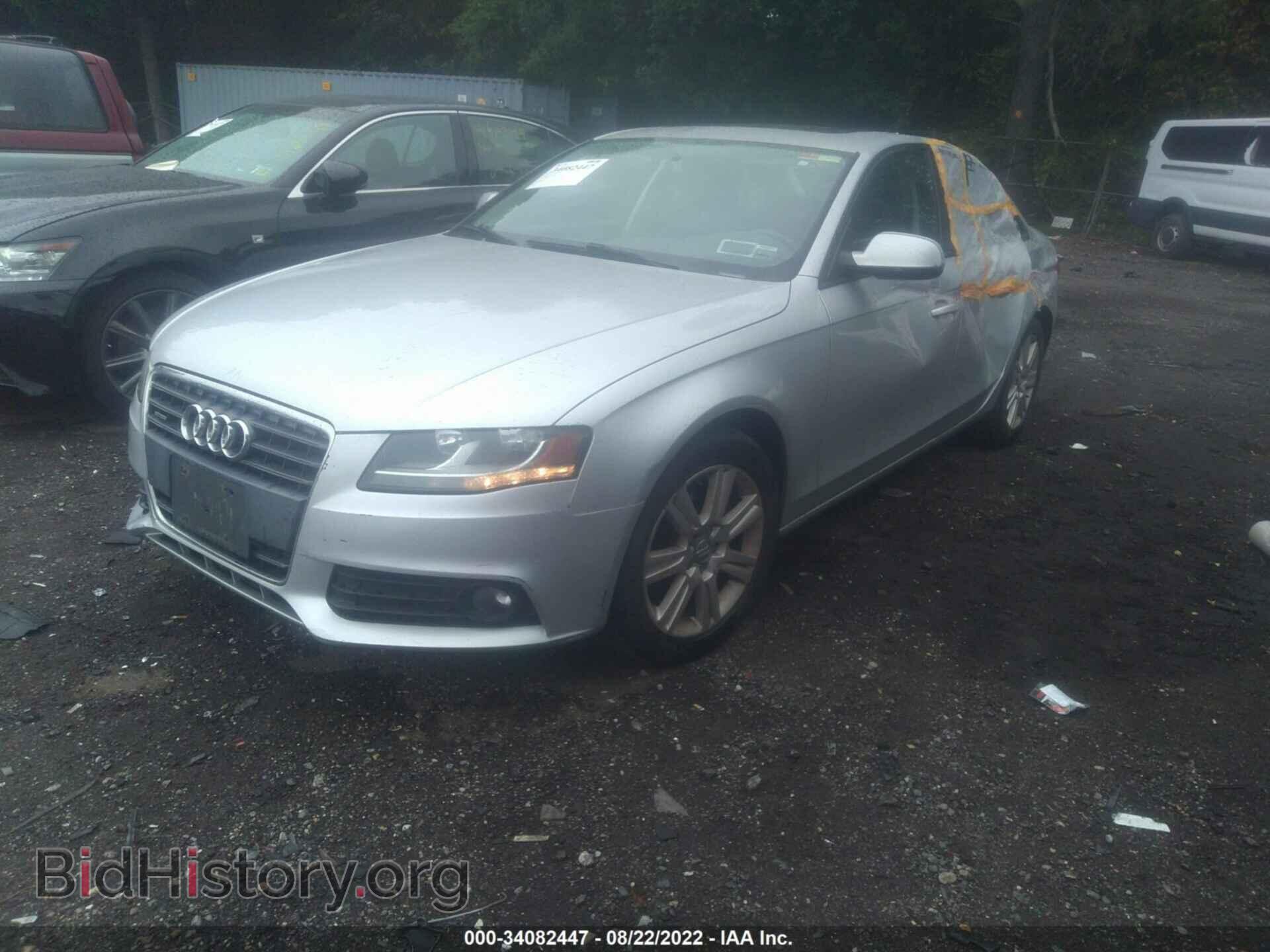 2010 AUDI A4 - VIN: WAUBFAFL9AN006024 - Фото 2