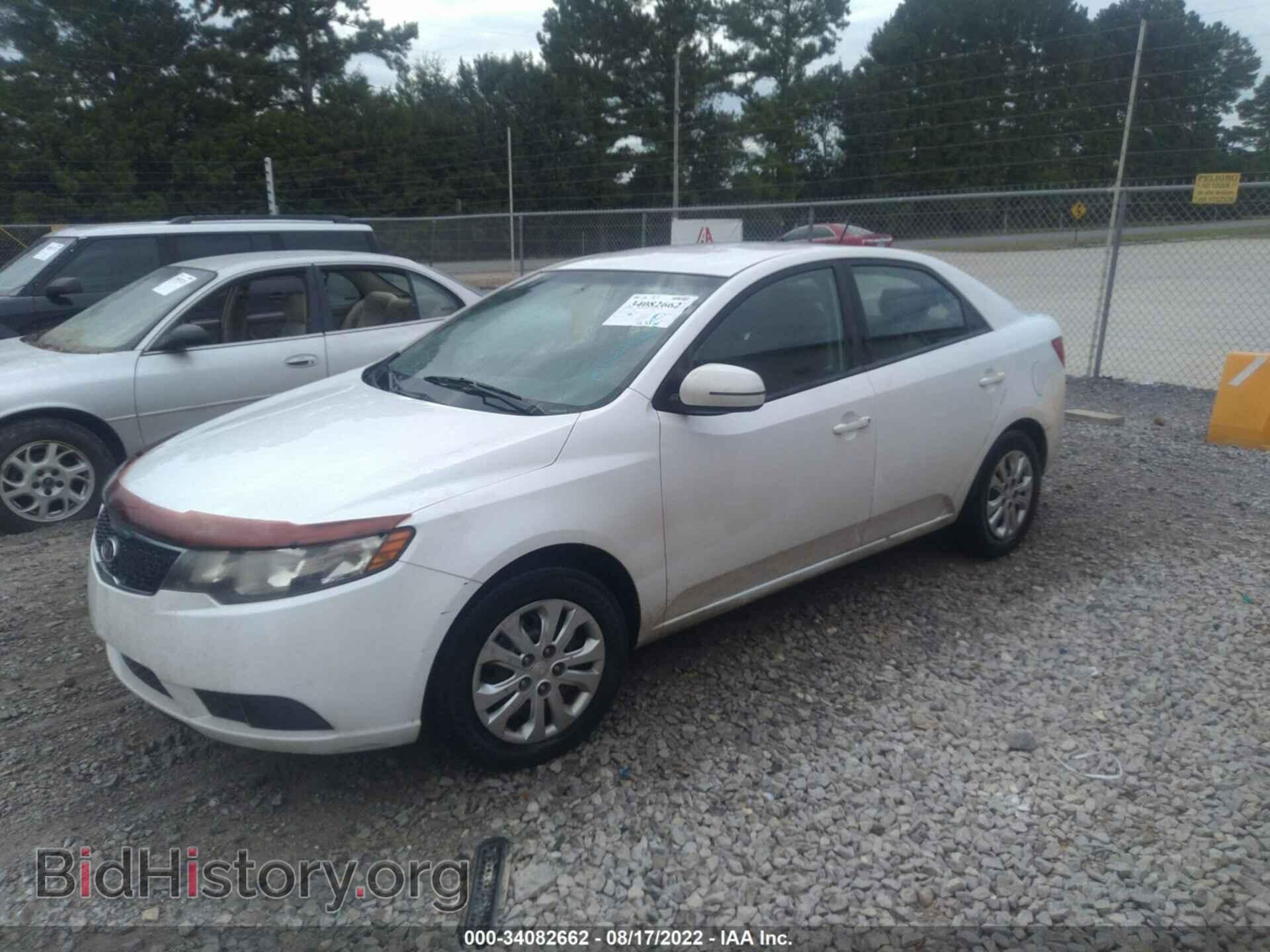 2011 KIA FORTE - VIN: KNAFU4A26B5353142 - Фото 2