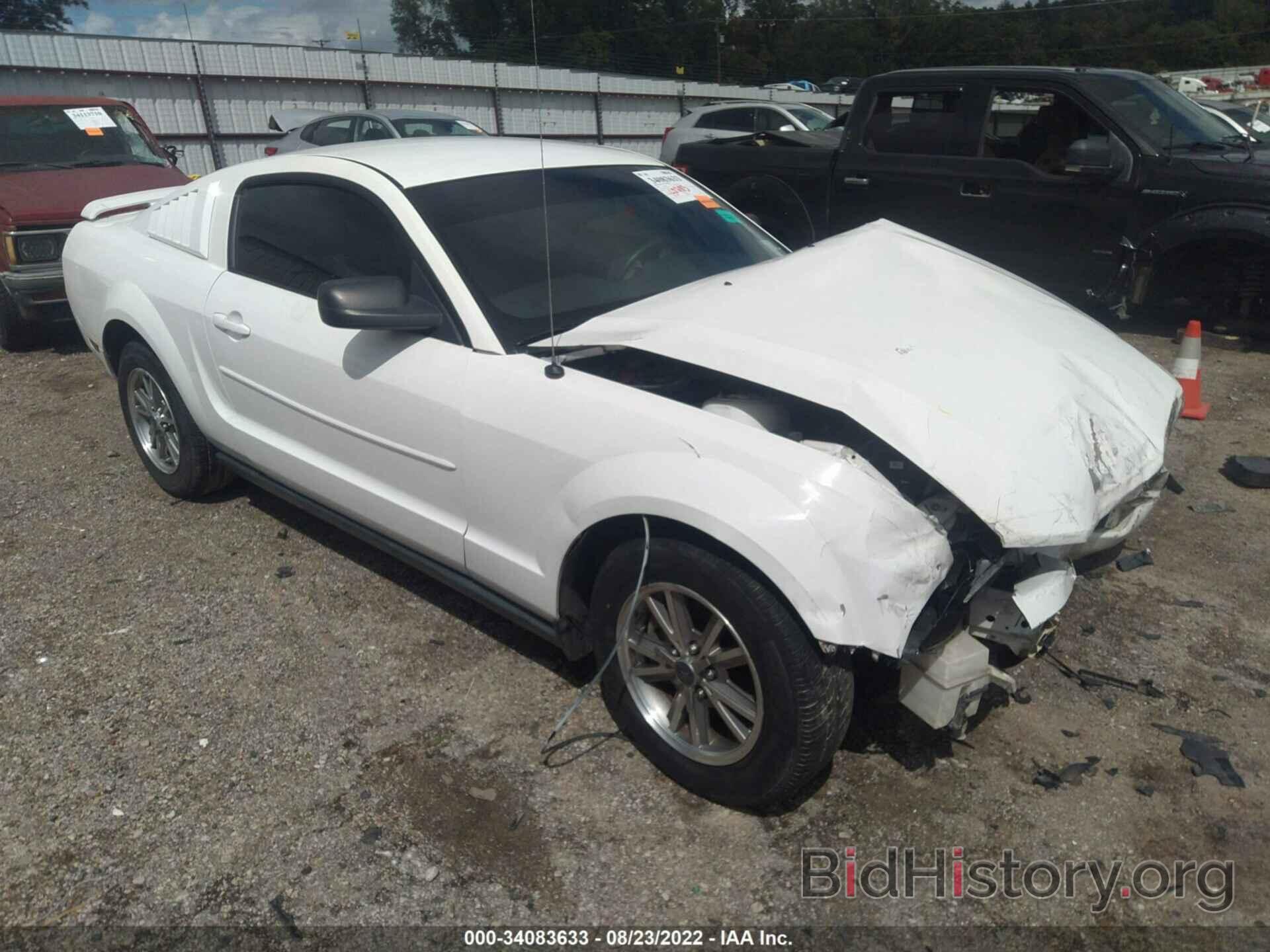 Photo 1ZVFT80N865200371 - FORD MUSTANG 2006