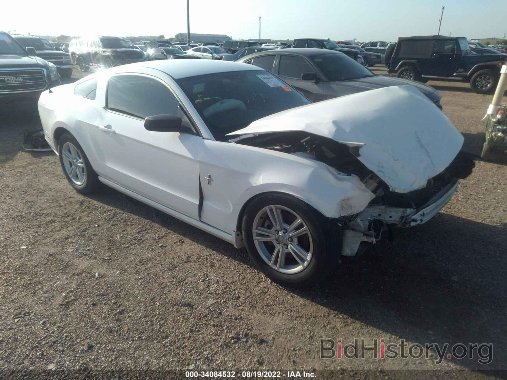 Photo 1ZVBP8AM9D5277529 - FORD MUSTANG 2013