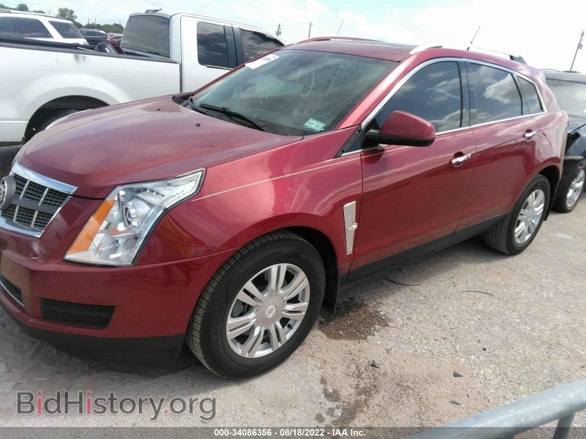2011 CADILLAC SRX - VIN: 3GYFNDEY2BS520918 - Фото 2