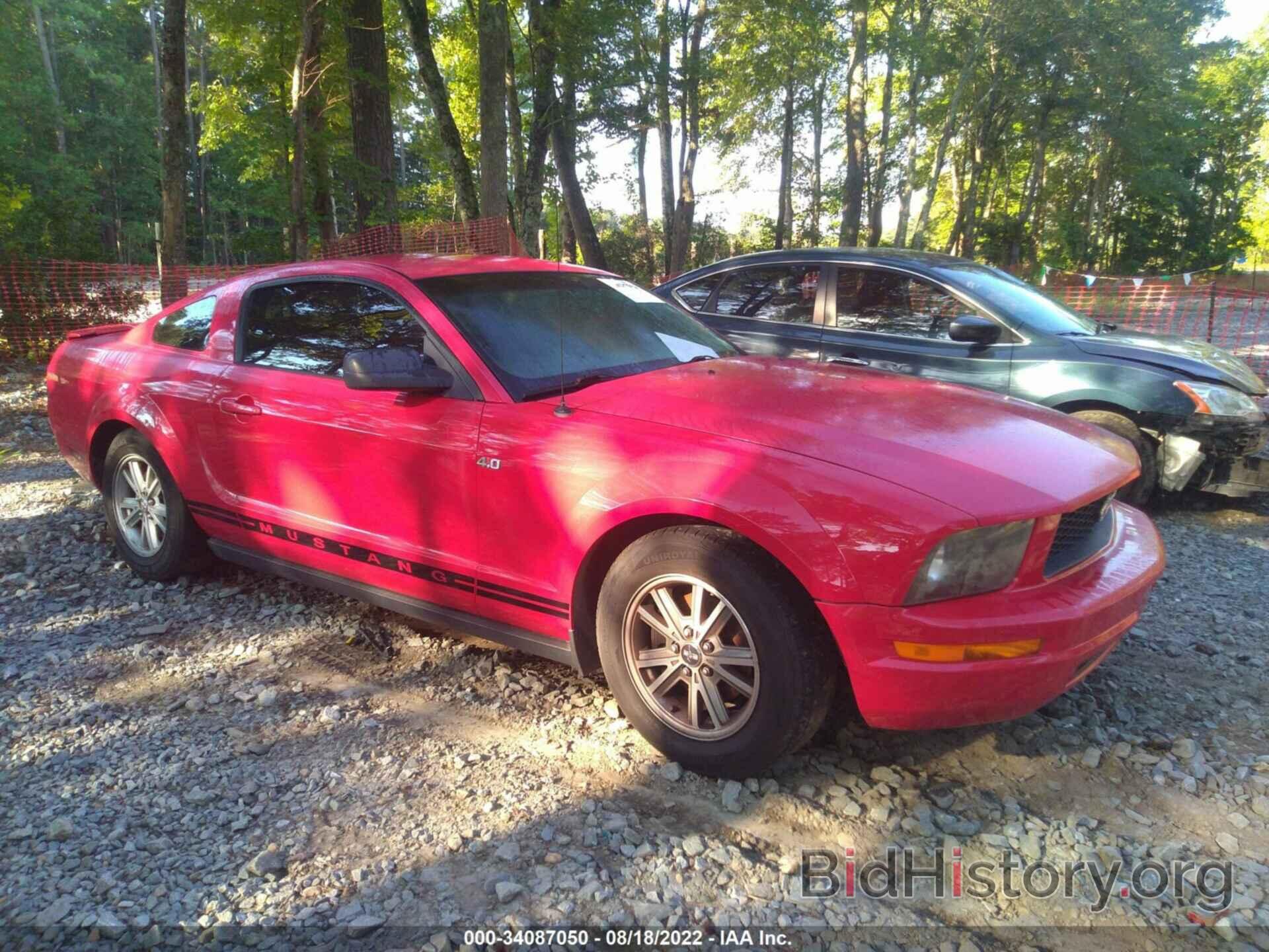 Photo 1ZVHT80N385195334 - FORD MUSTANG 2008