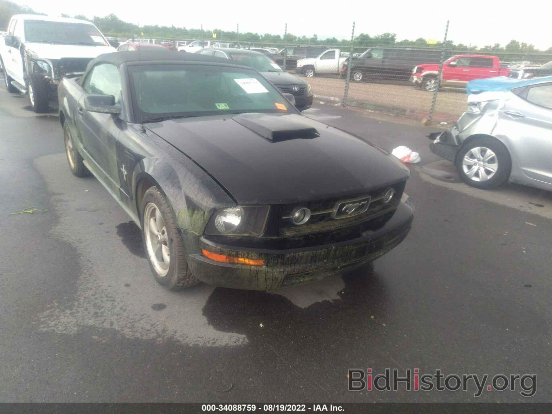 Photo 1ZVHT84N775322238 - FORD MUSTANG 2007